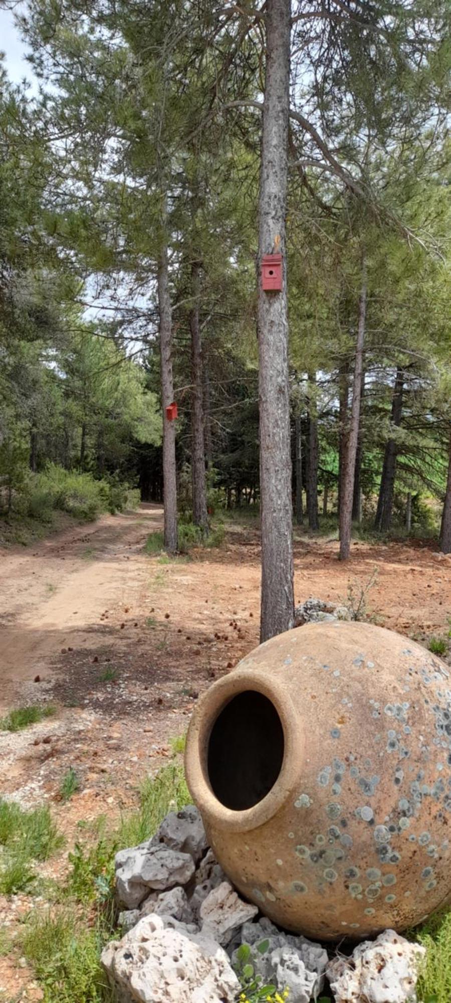 Sanz Holiday home Cuenca (Castilla-La Mancha)