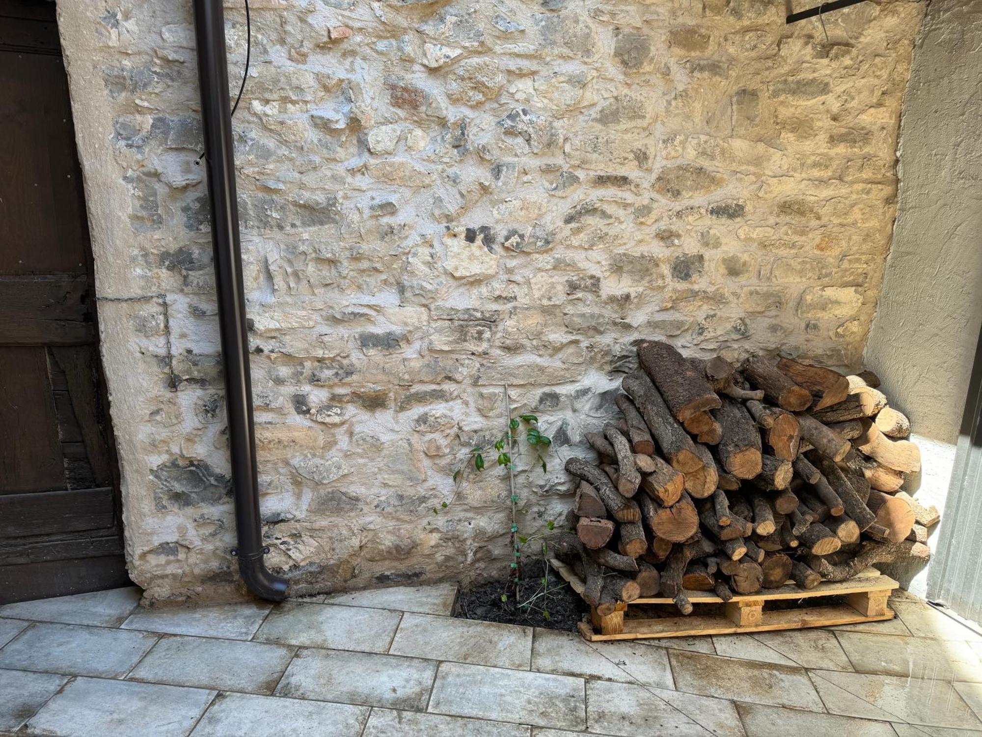Apartamento El Niu De