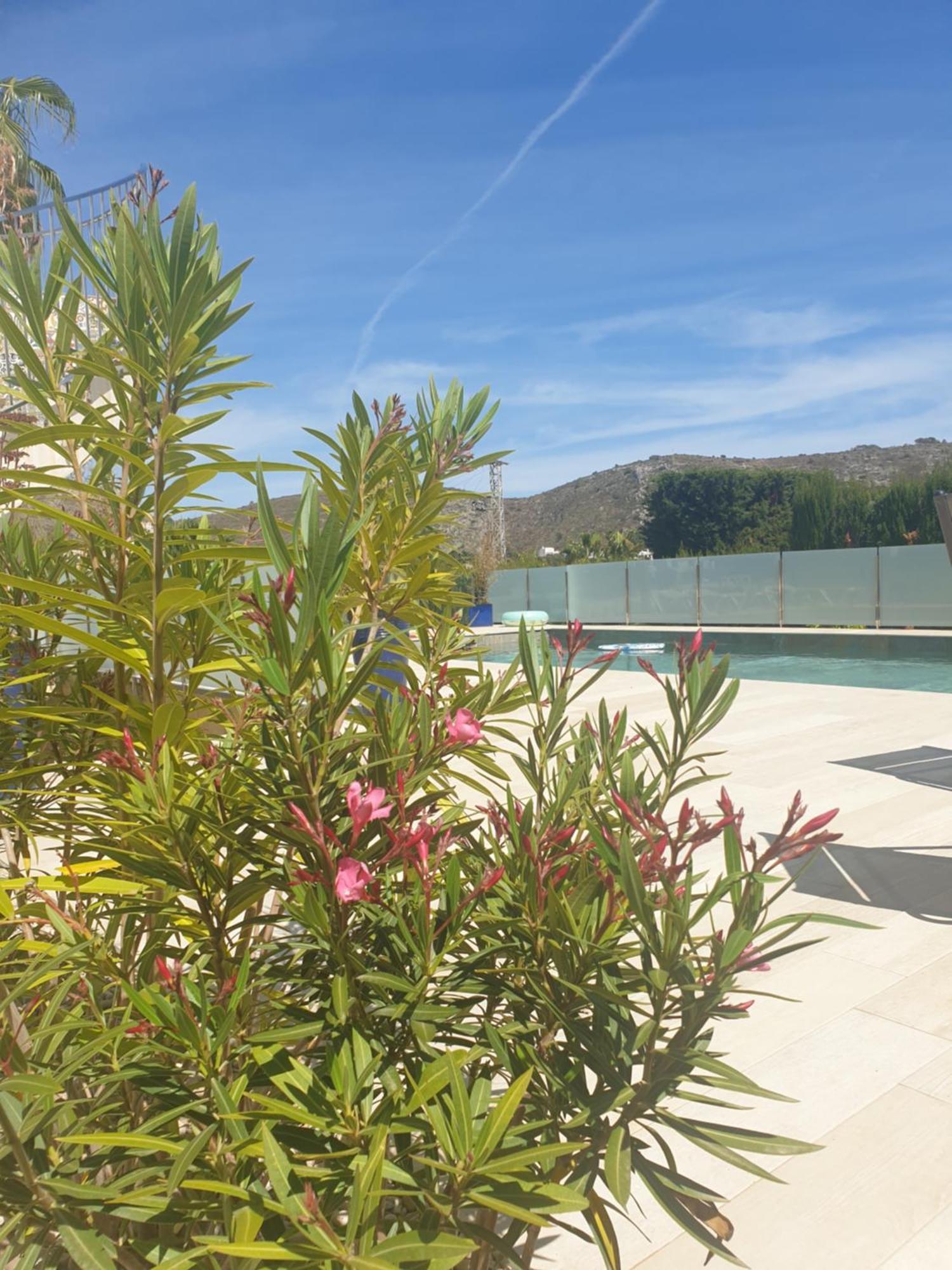 Casa Osimos Portet 450 M Apartamento *