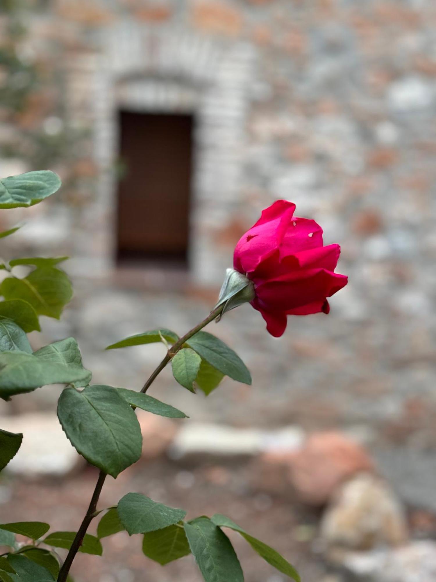Casa De La Serra