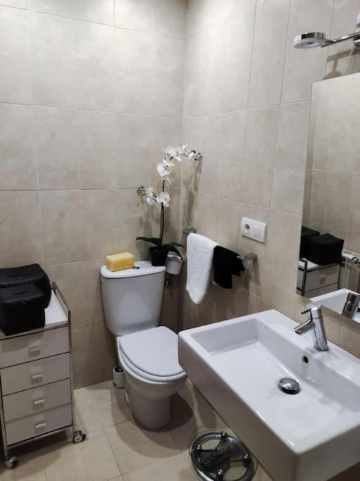 Apartamento Casina Mencia