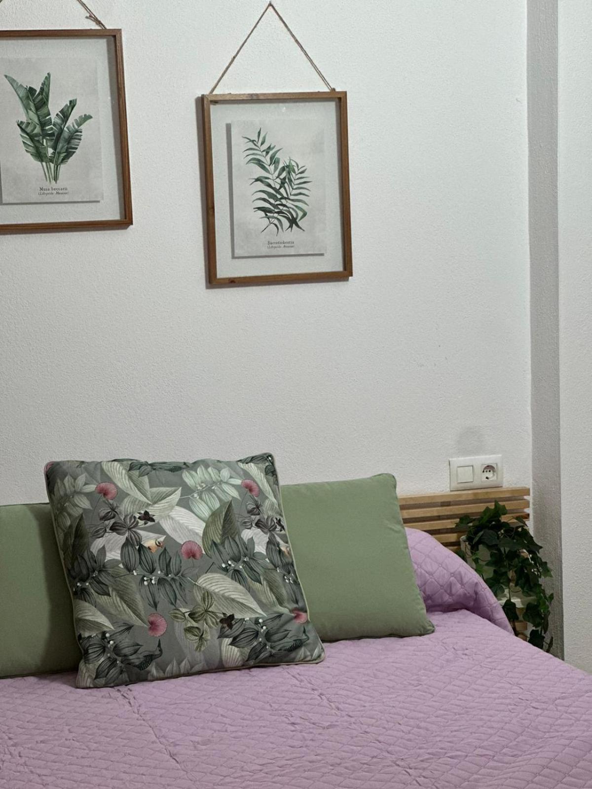 Apartamento Solera Jerez de la Frontera