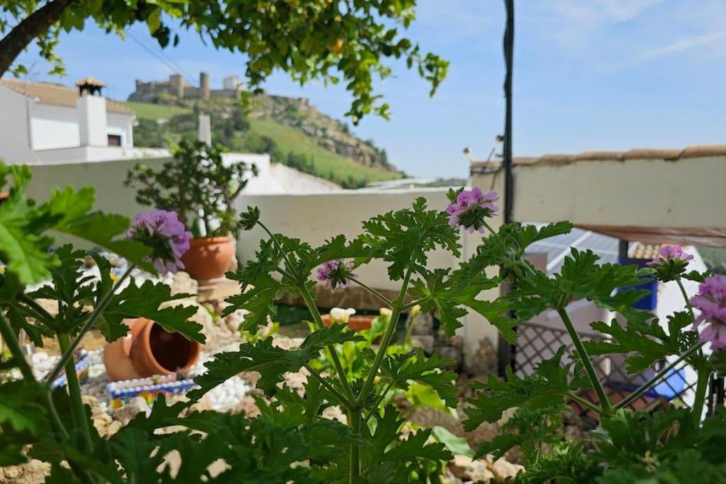 La Casona De Karkabul