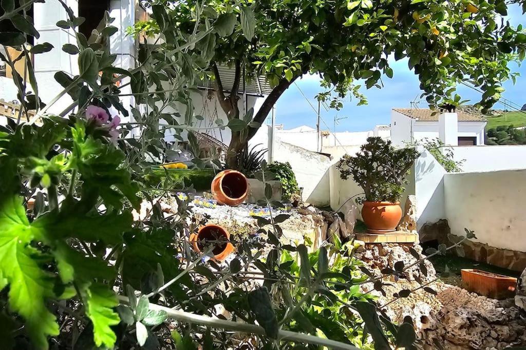 Сasa de vacaciones La Casona De Karkabul