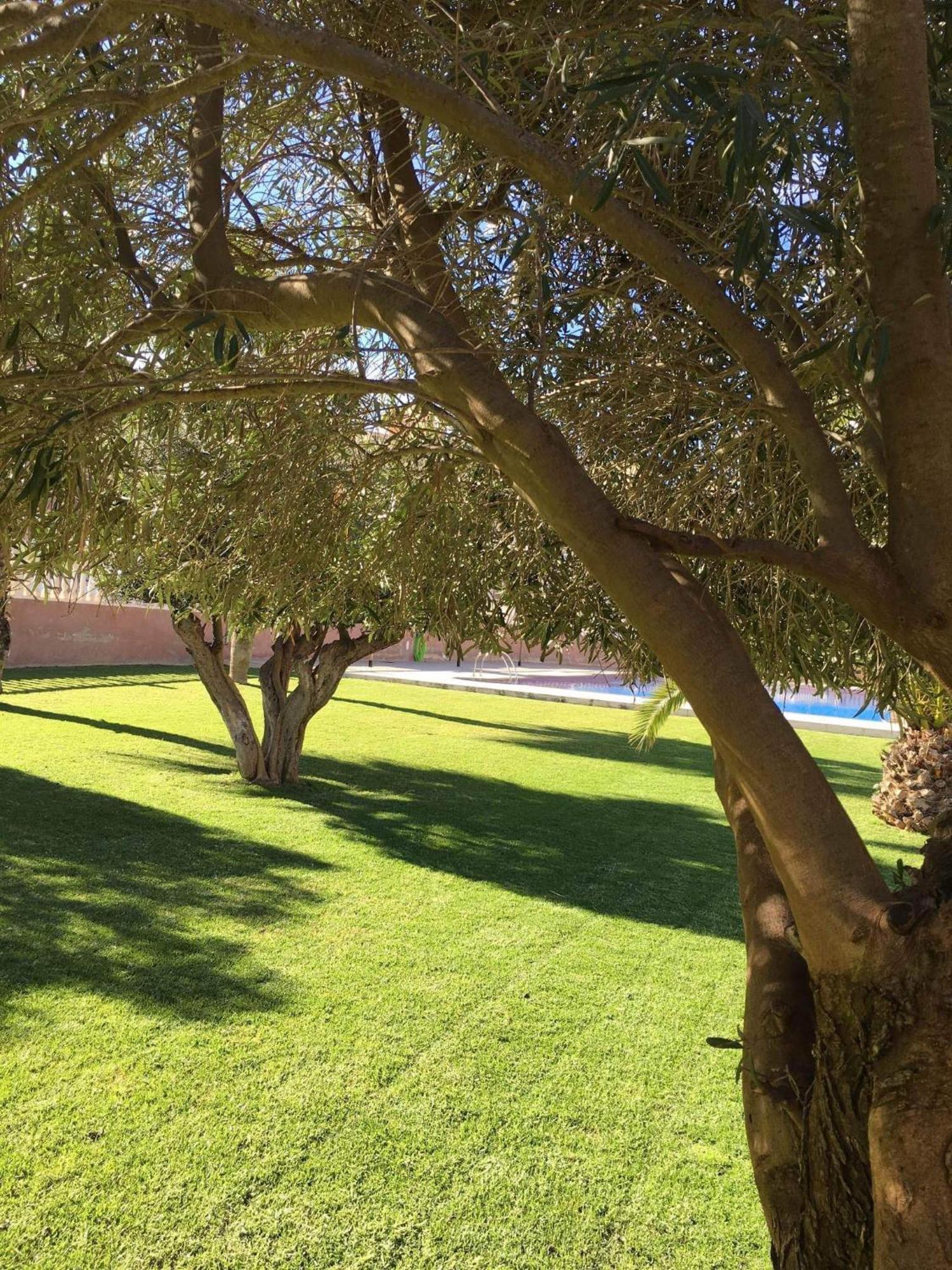 Casa Maria Holiday home Gran Alacant