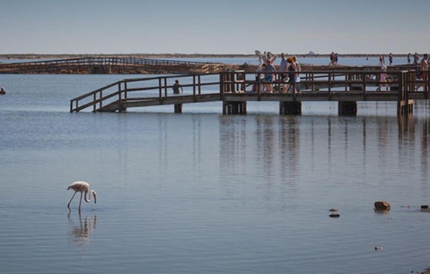 Casa Flamingo, Near The Beach! * San Pedro del Pinatar