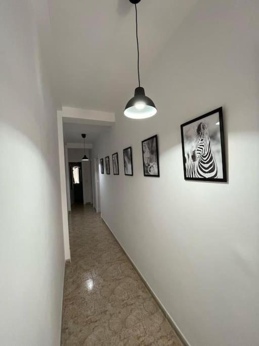 Ziurev Iv Sanlúcar de Barrameda