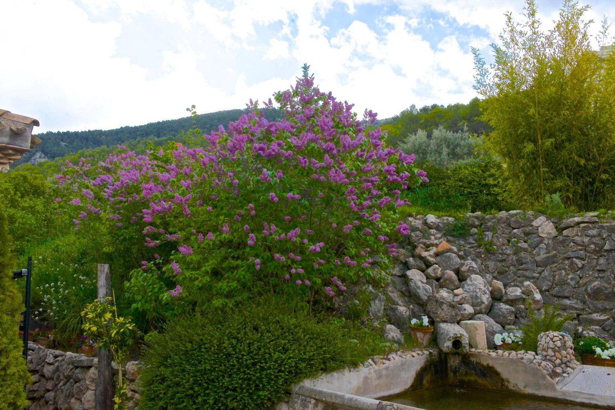 Con Encanto Masía La Mota Alcoy