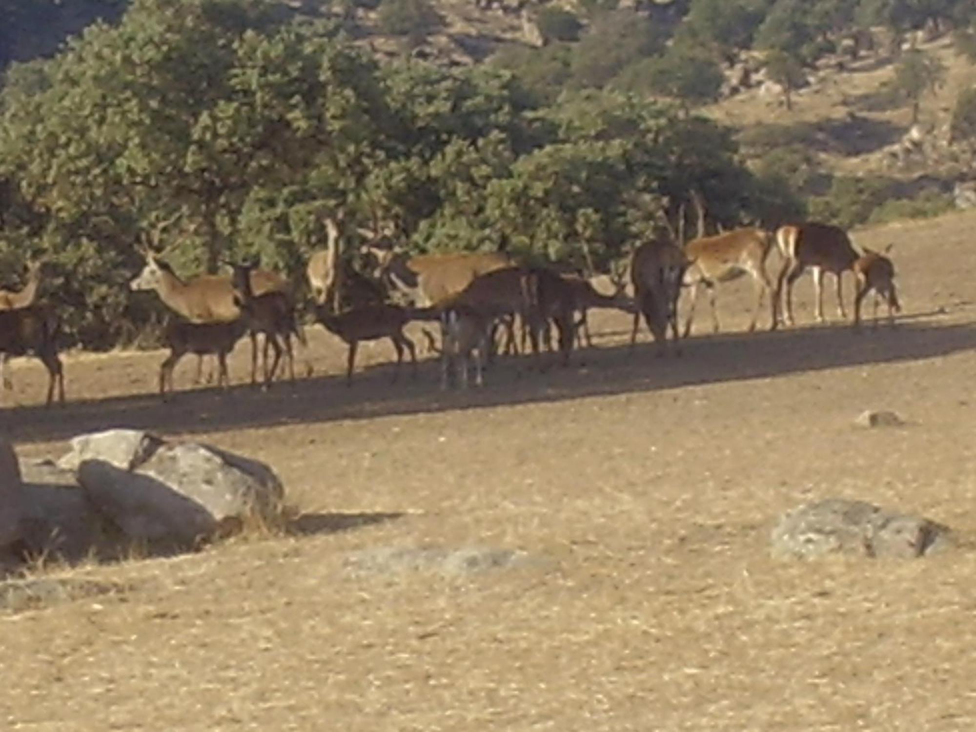 Palacio Guzmanes 3*