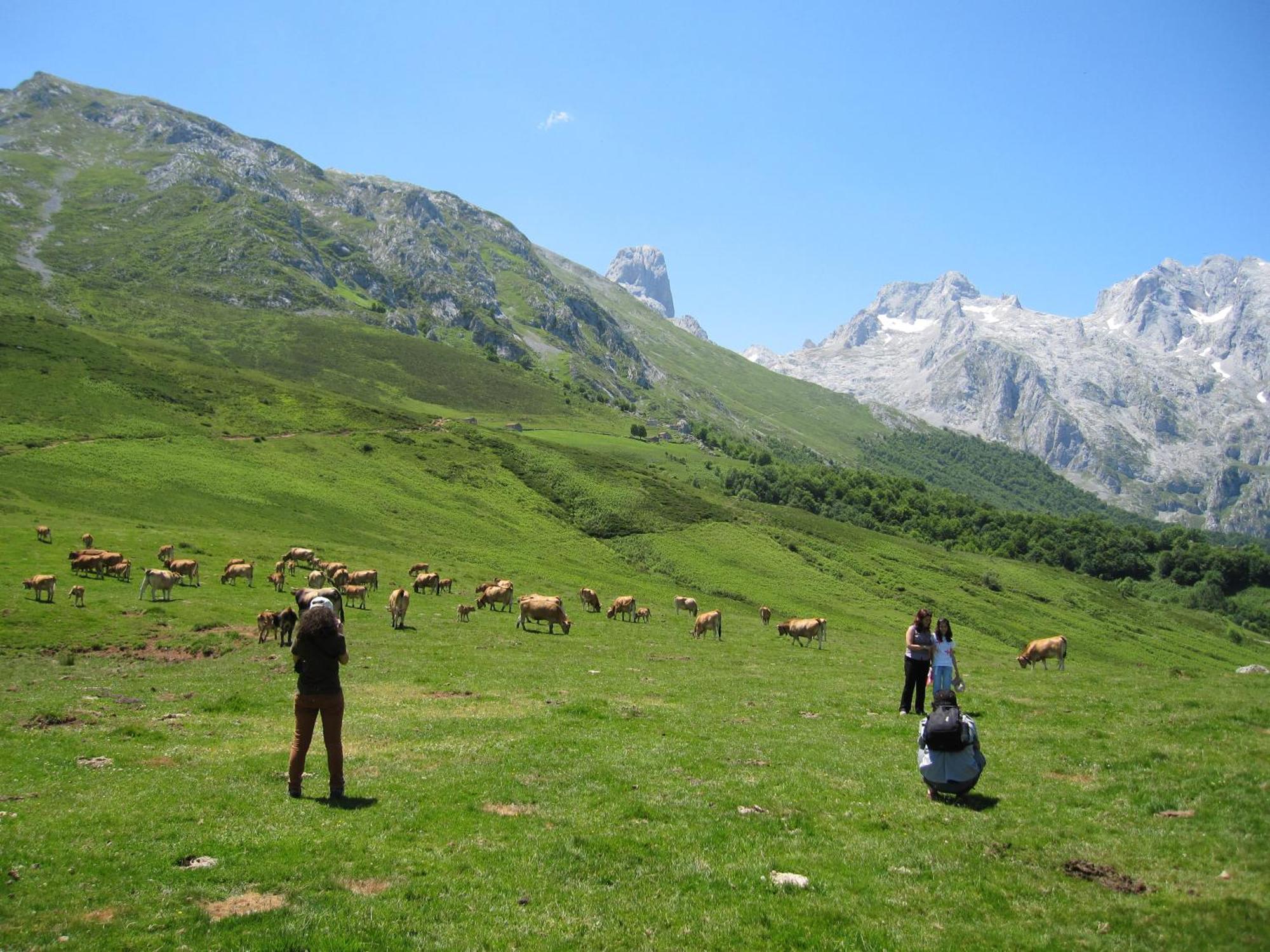 Picos De Europa Pensión