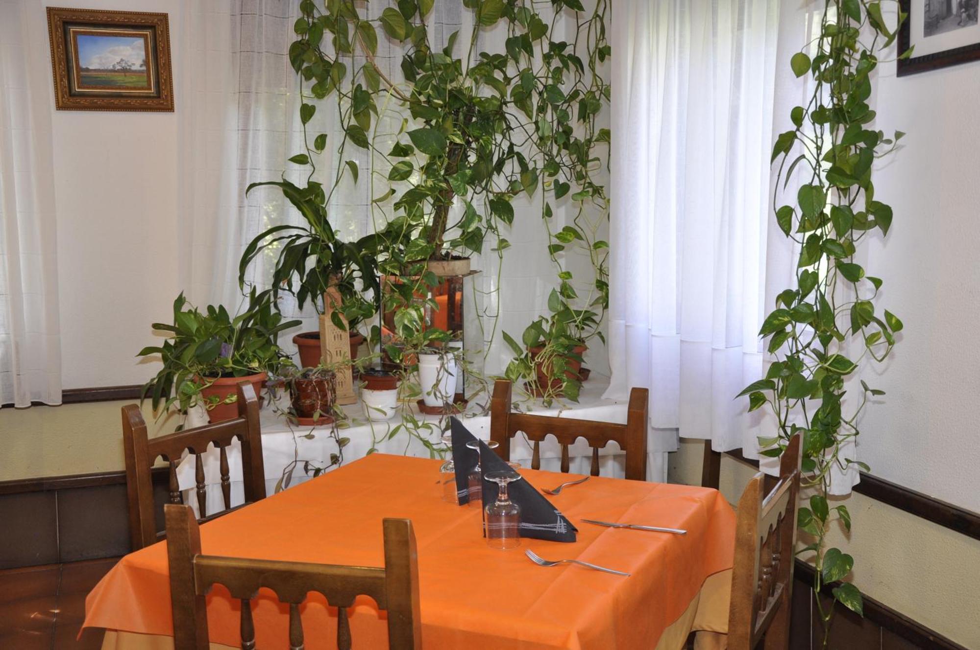 Hotel Castillo D'acher Siresa