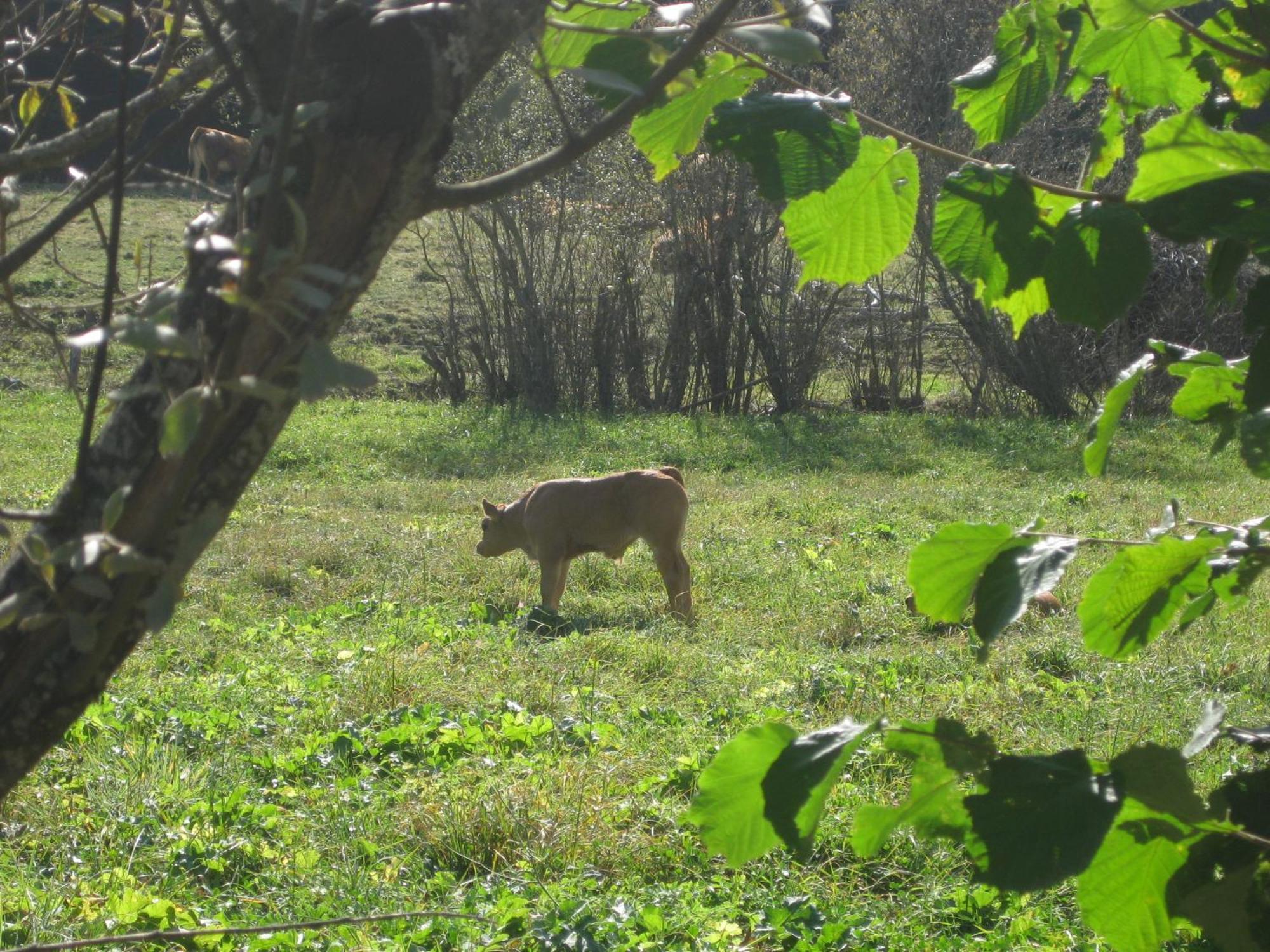 La Del Auteiro Country house