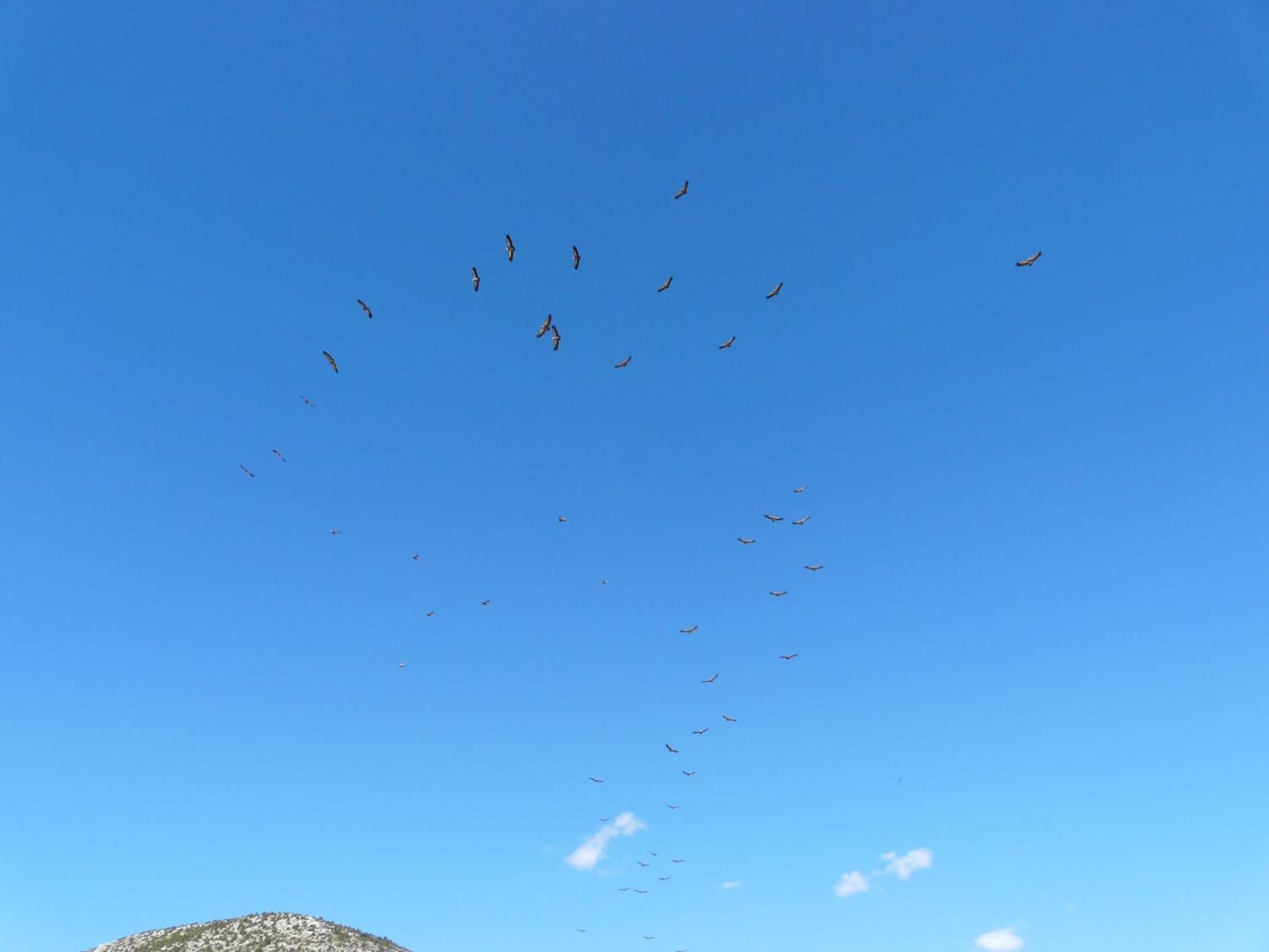 Cortijo La Estrella