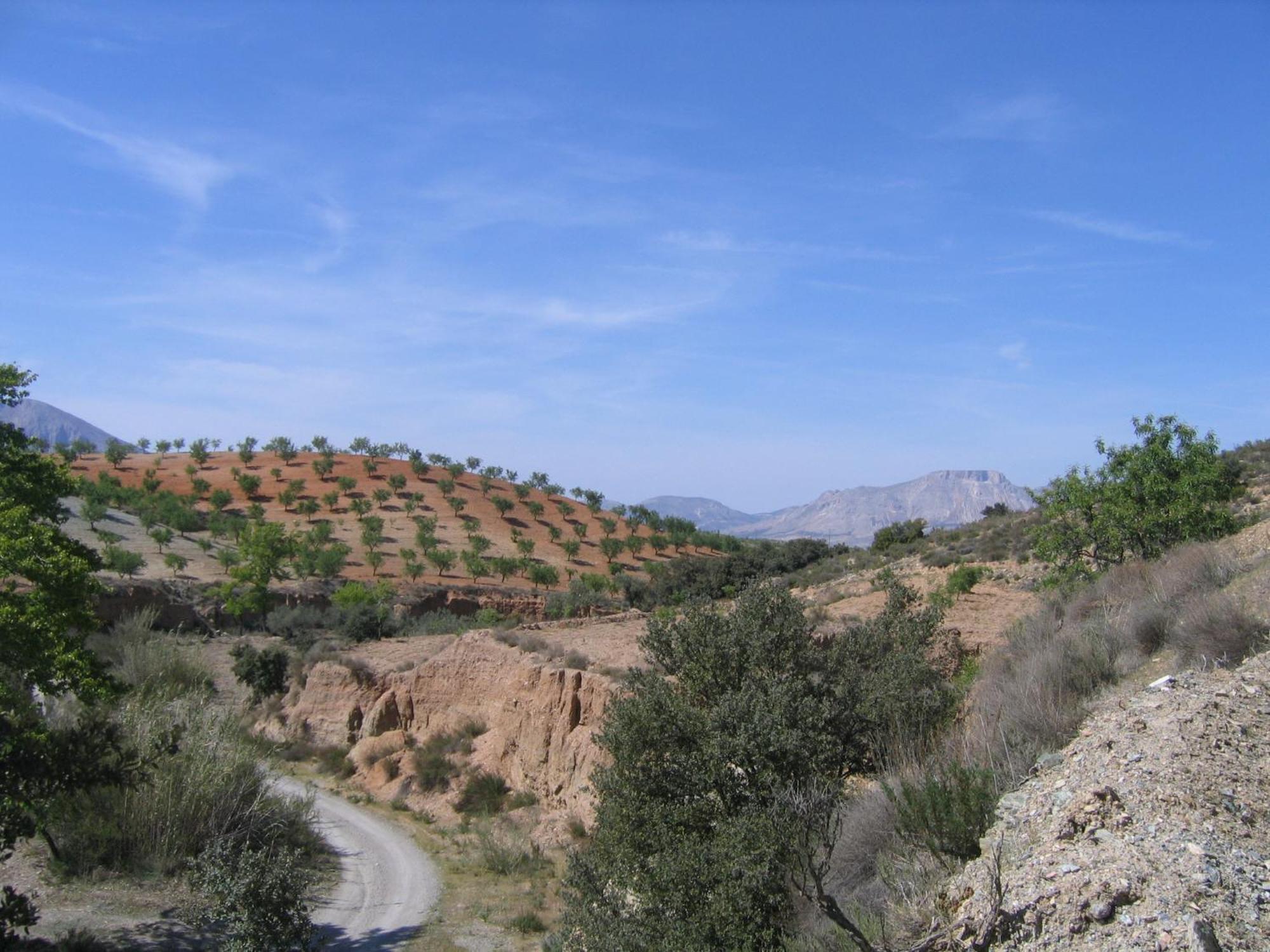 Cortijo La Estrella Apartment