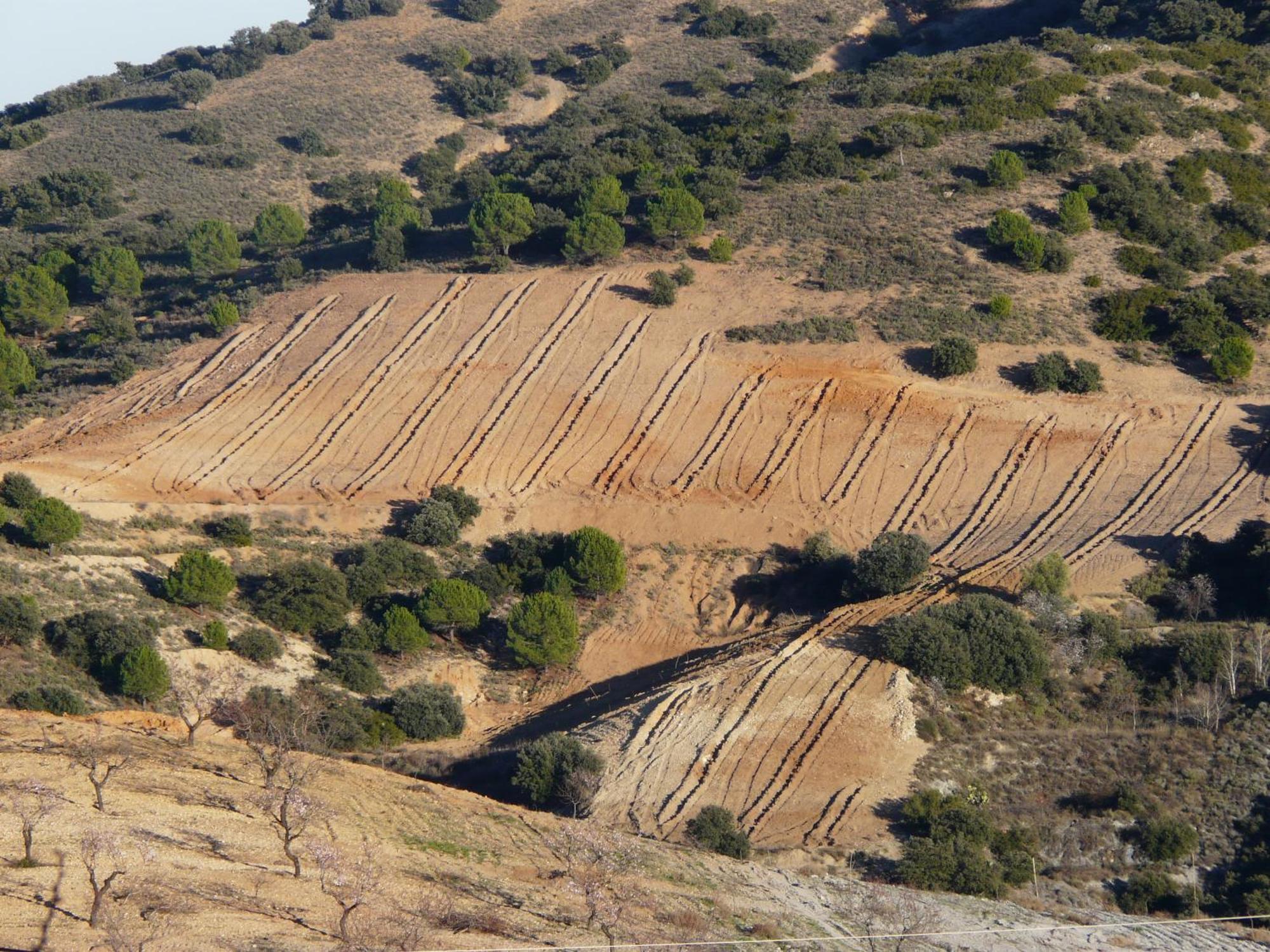 Cortijo La Estrella *