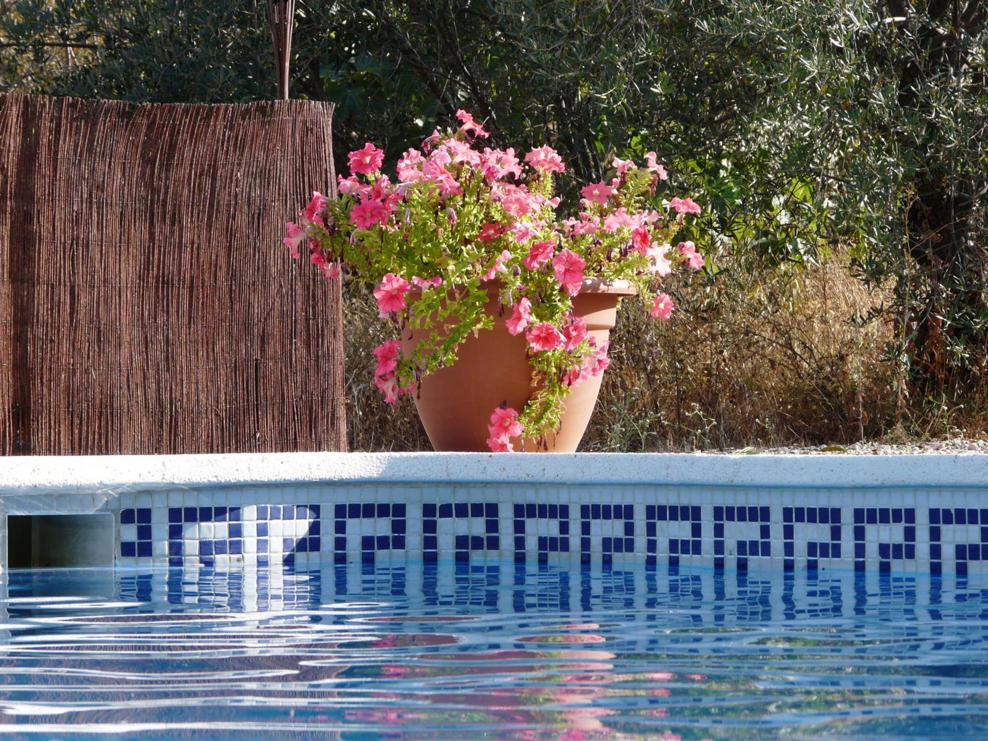 Cortijo La Estrella Apartment *