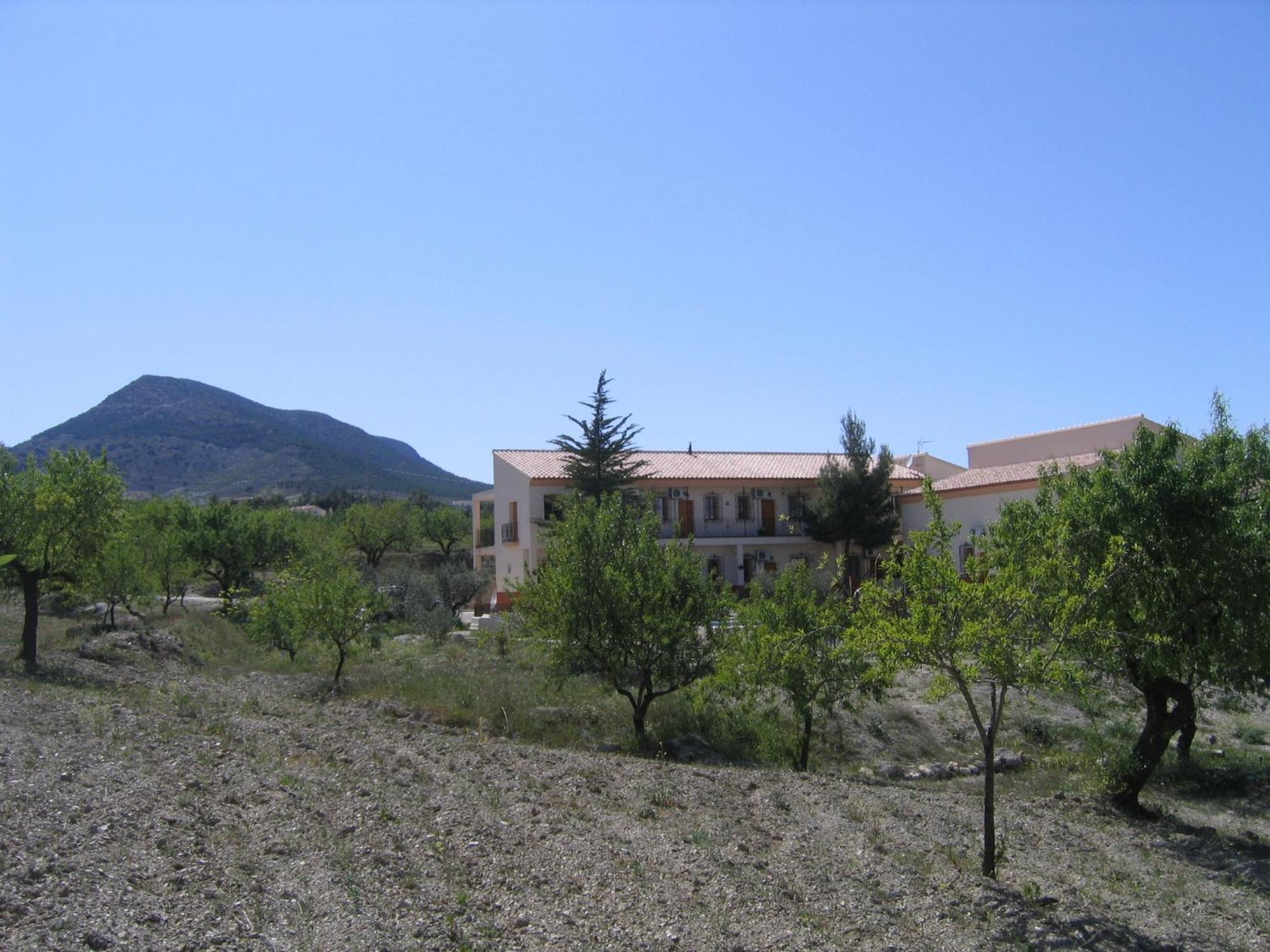 Cortijo La Estrella *