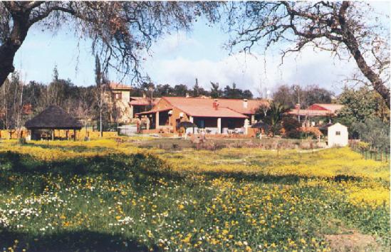 Cortijo Zalamea Villa