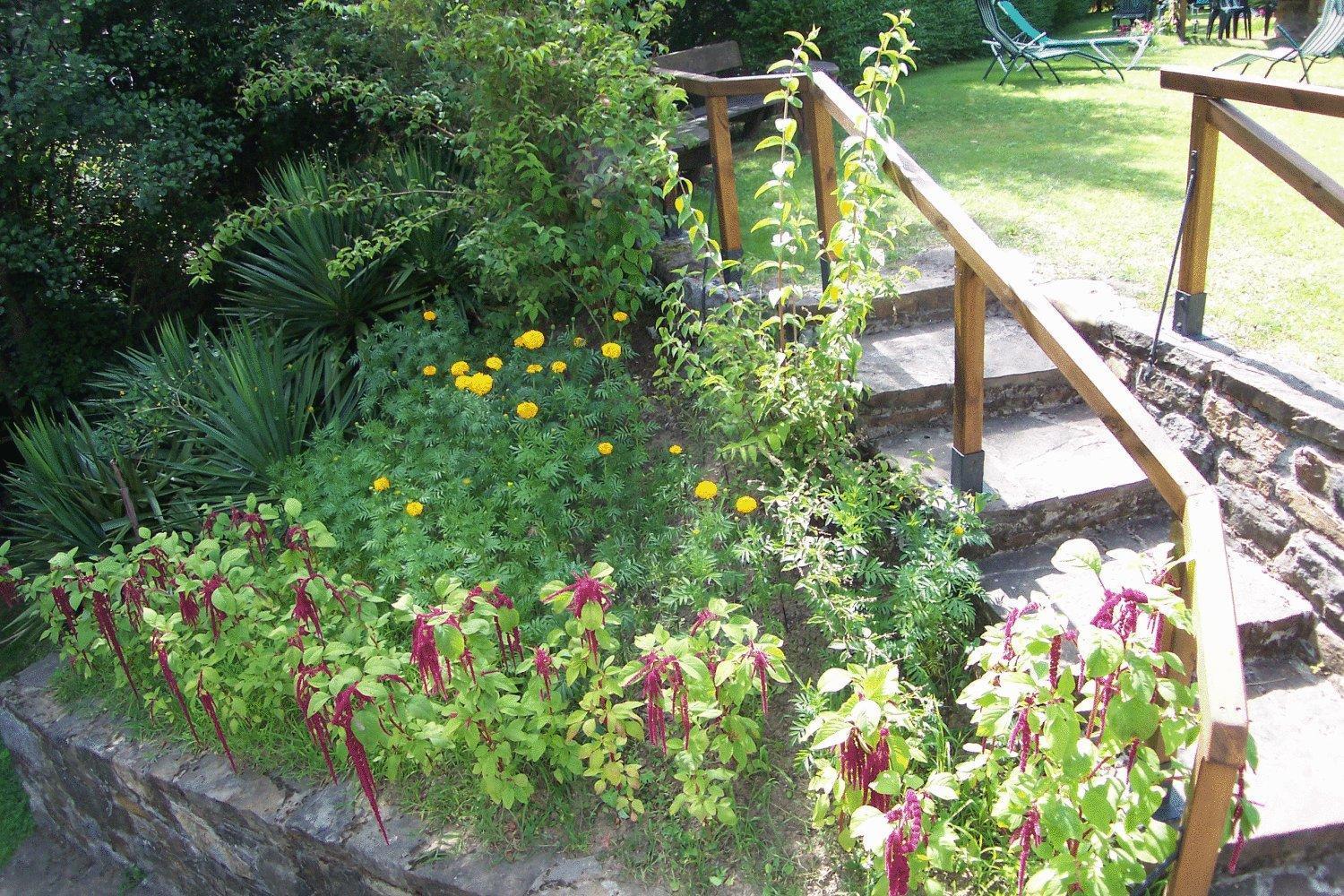 Country house Corrada Torales *