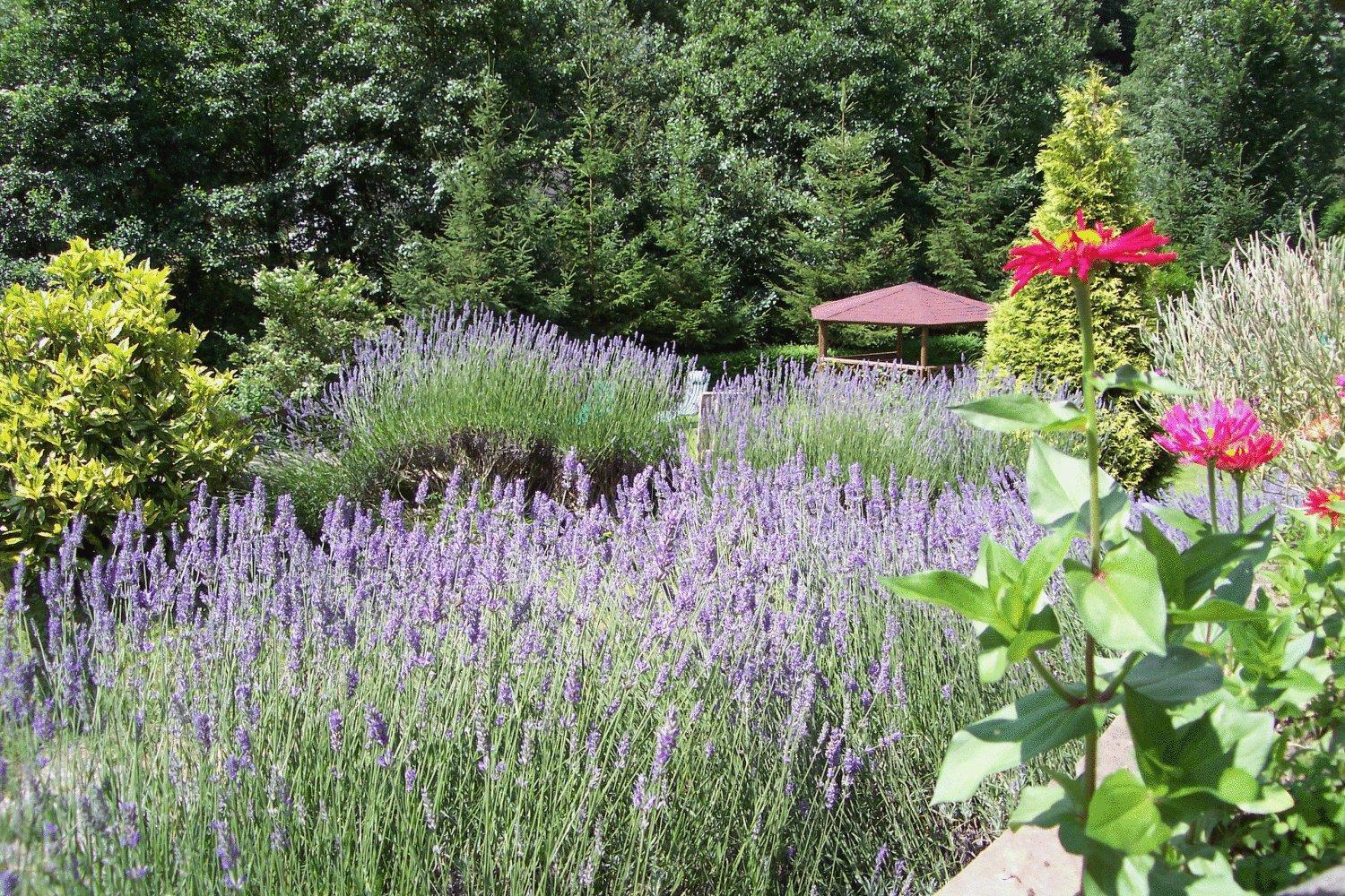 Corrada Torales Country house