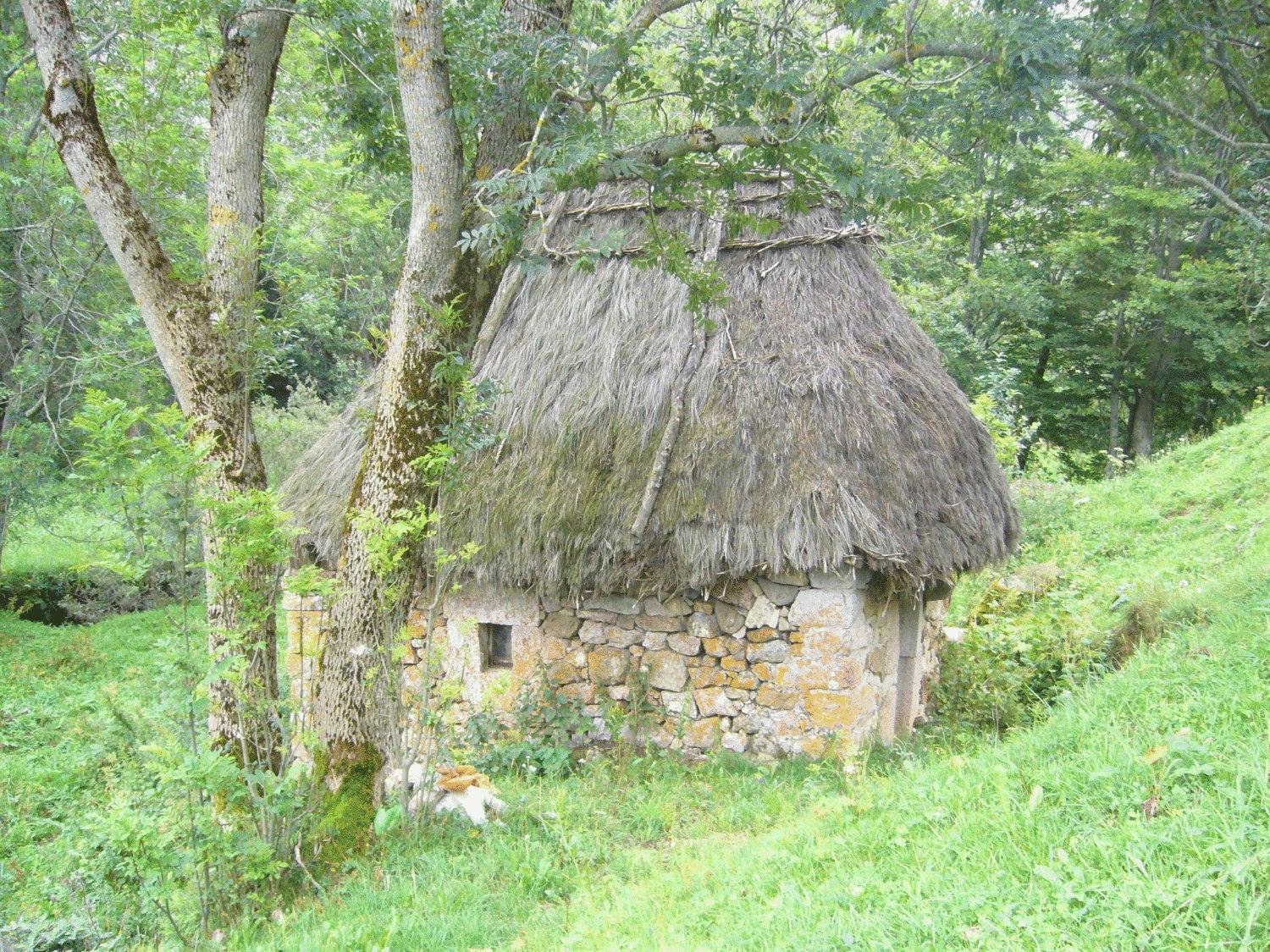 Country house La Del Auteiro *