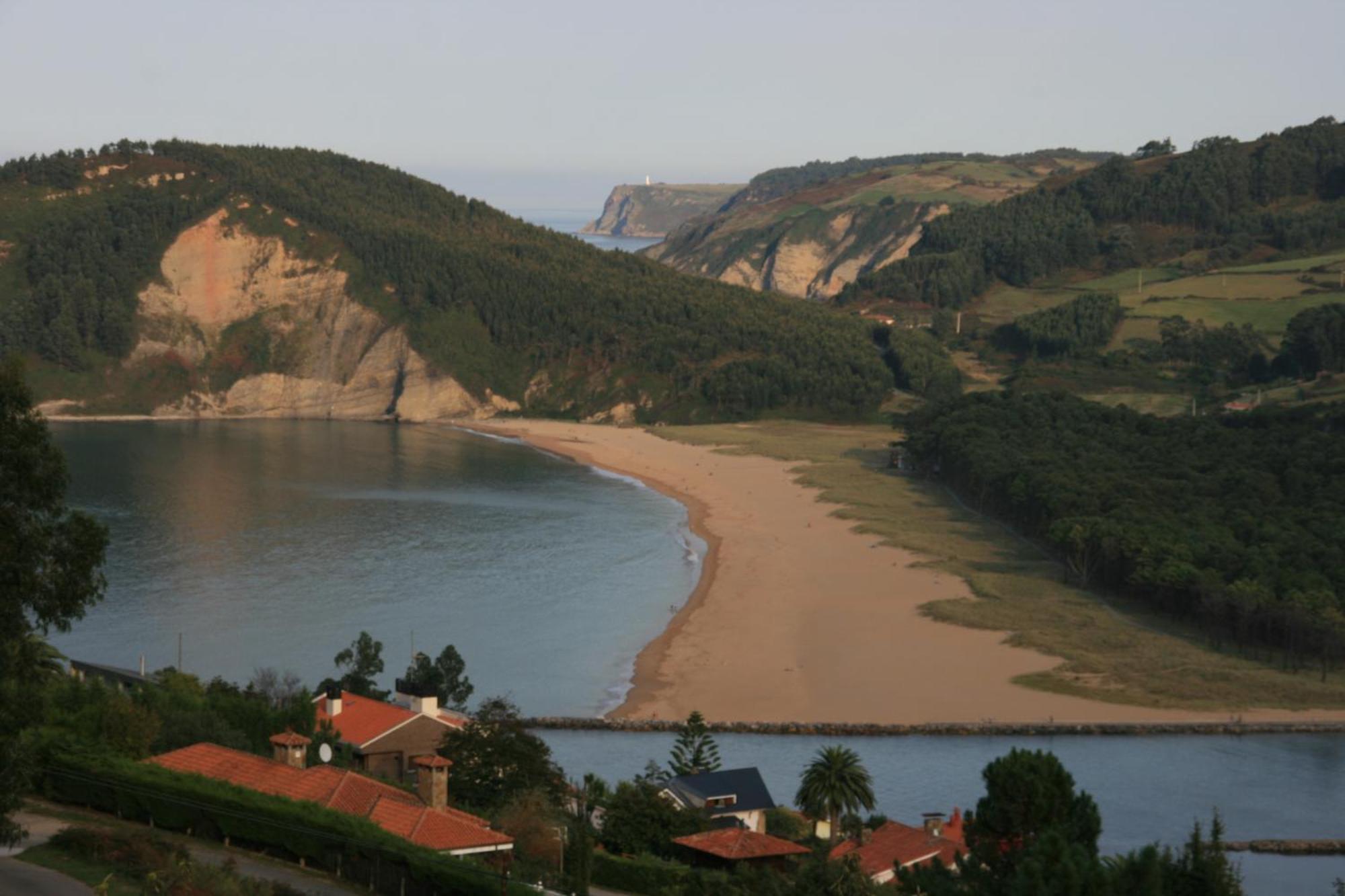 Monterodiles