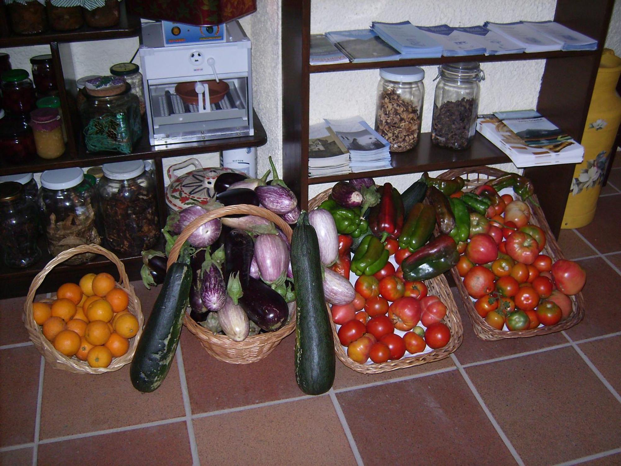 Country house Masia Can Felip *