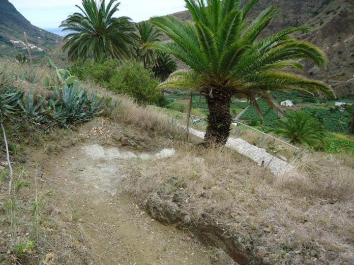 Casas Rurales Hermigua Hermigua