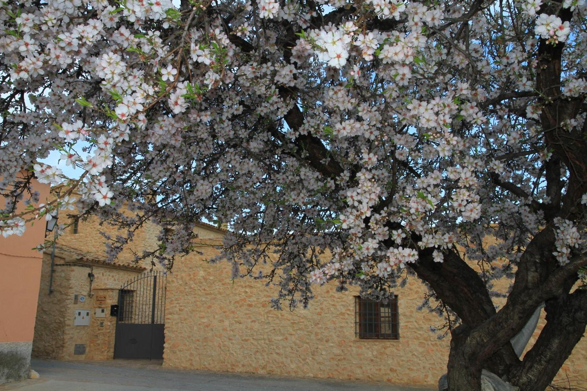 Rurales Cortijo Golondrinas Country house Alhama de Murcia