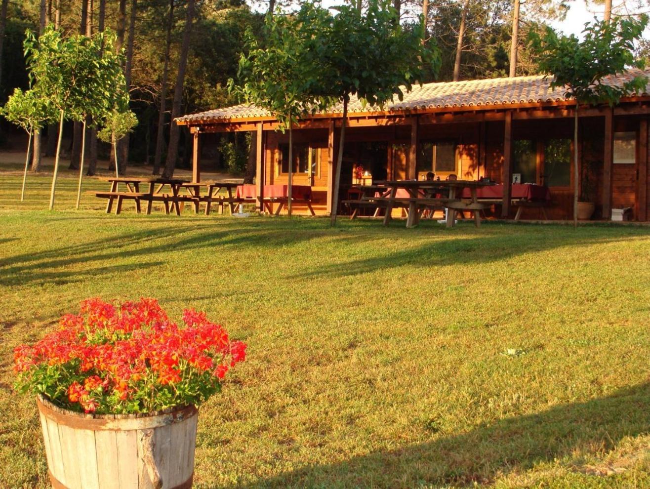 Campsite Camping Macanet De Cabrenys Macanet De Cabrenys