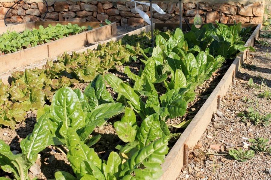 Centro De Agroecologia Y Medio Ambiente De Murcia Apartamento *