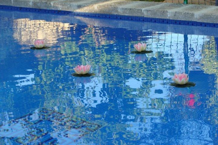 De Agua Arcas