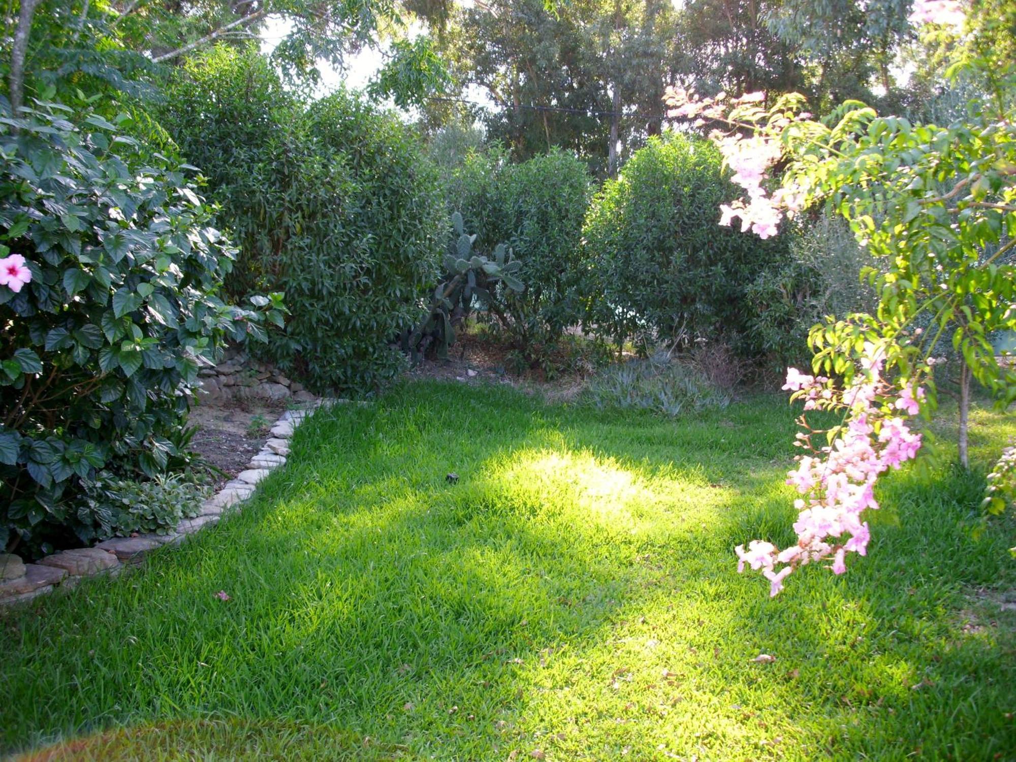 Esmeralda