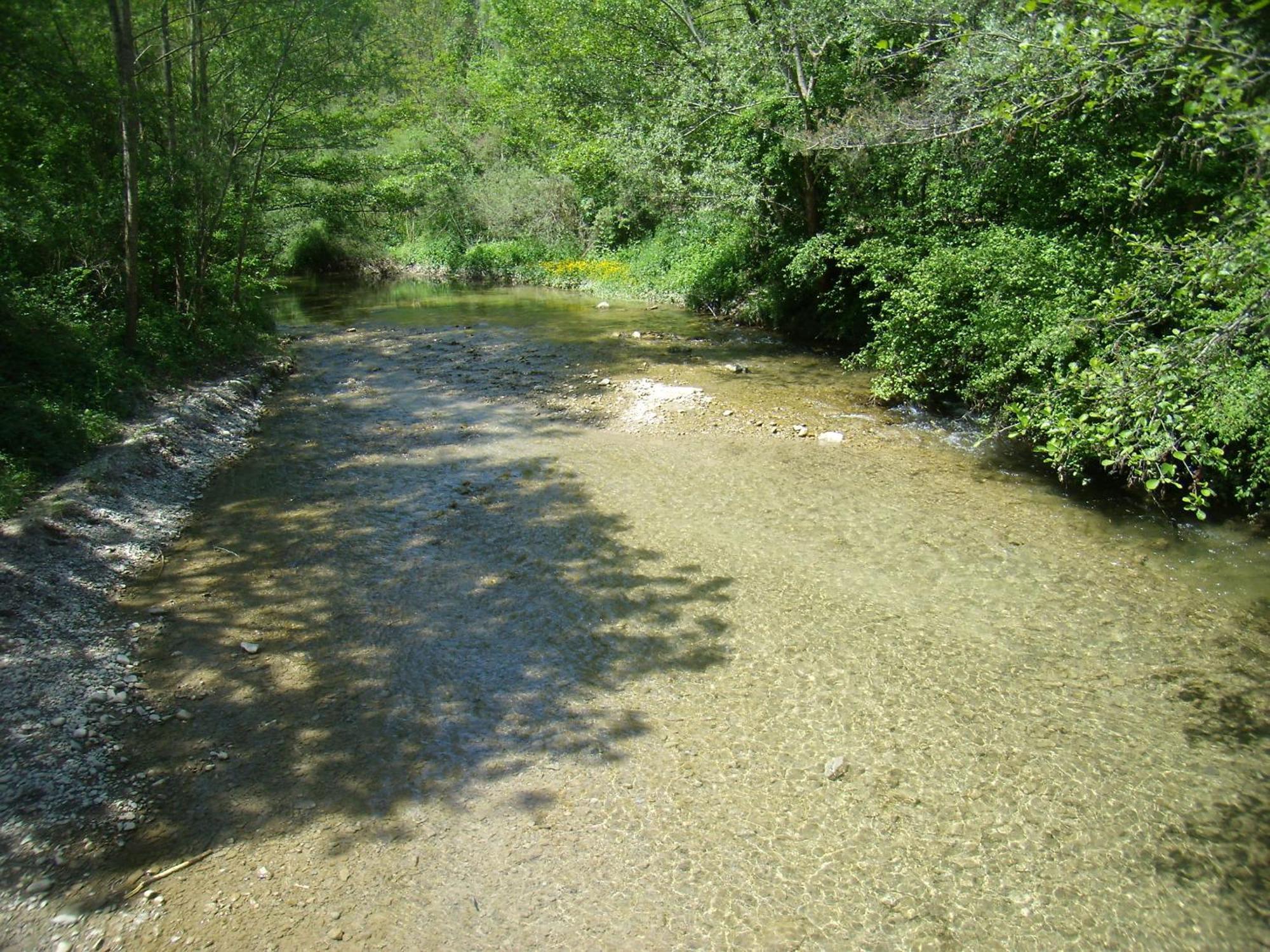 Camping Pirinenc 2*