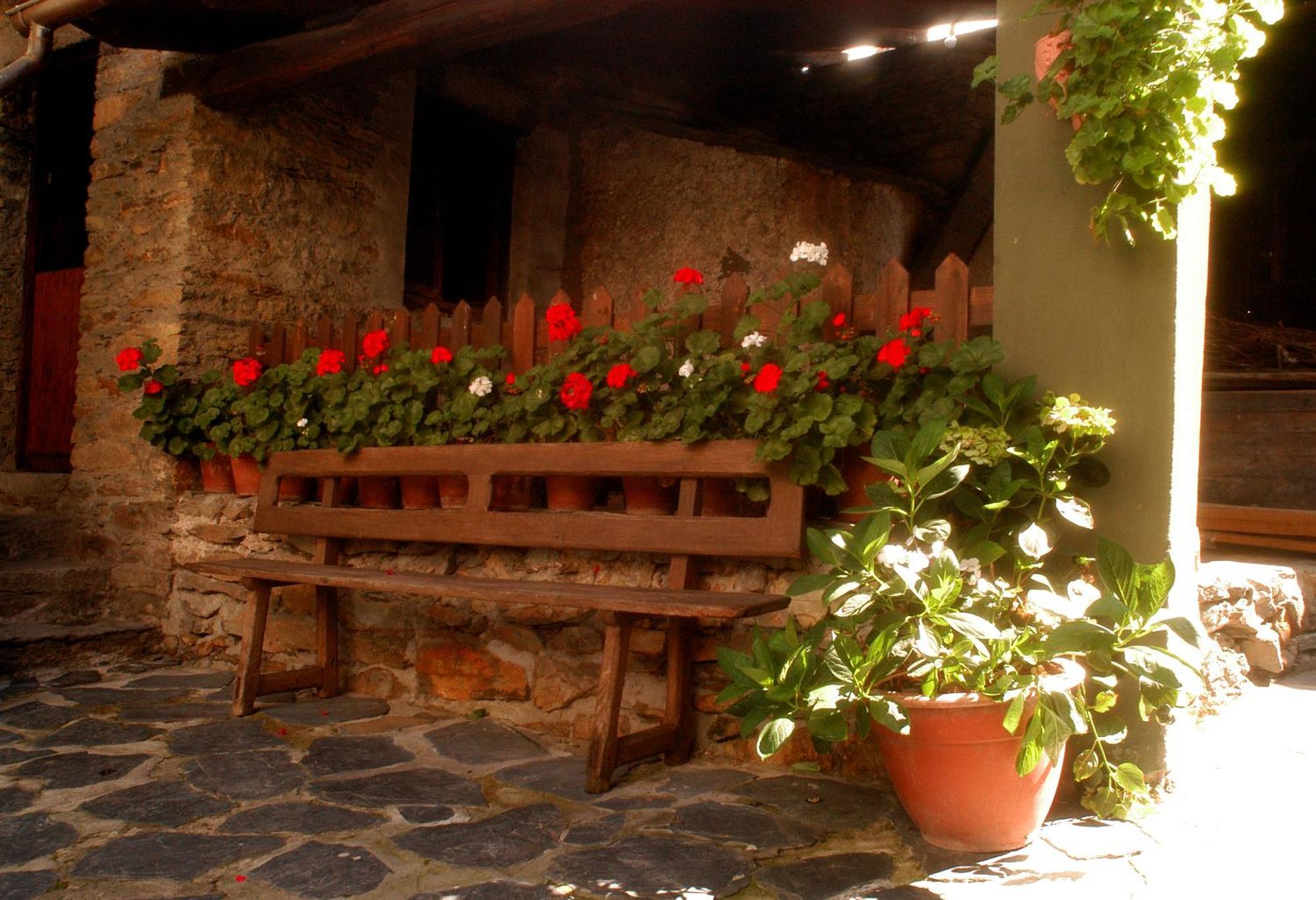 Casa Mario * Posada de Rengos