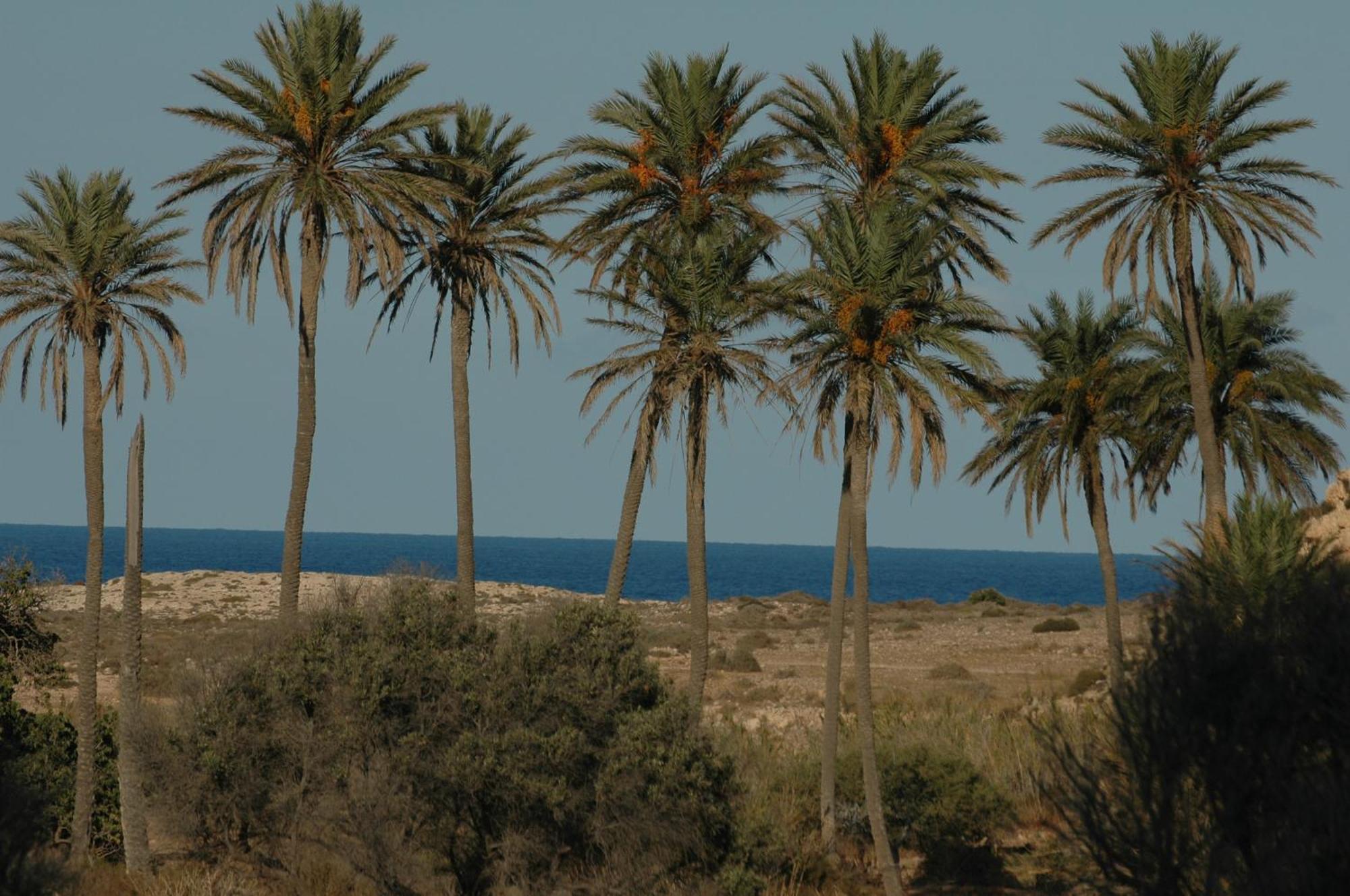 Resort Complejo La Ermita *
