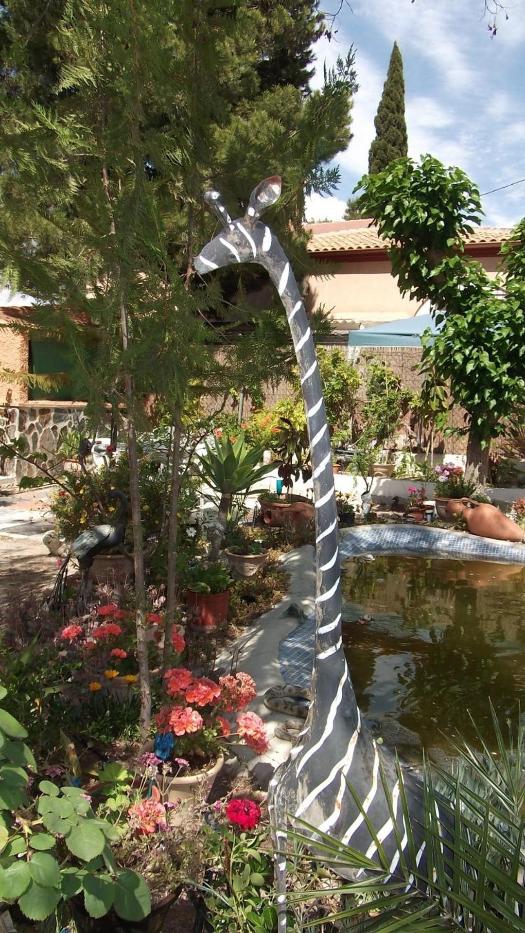 Mi Campo