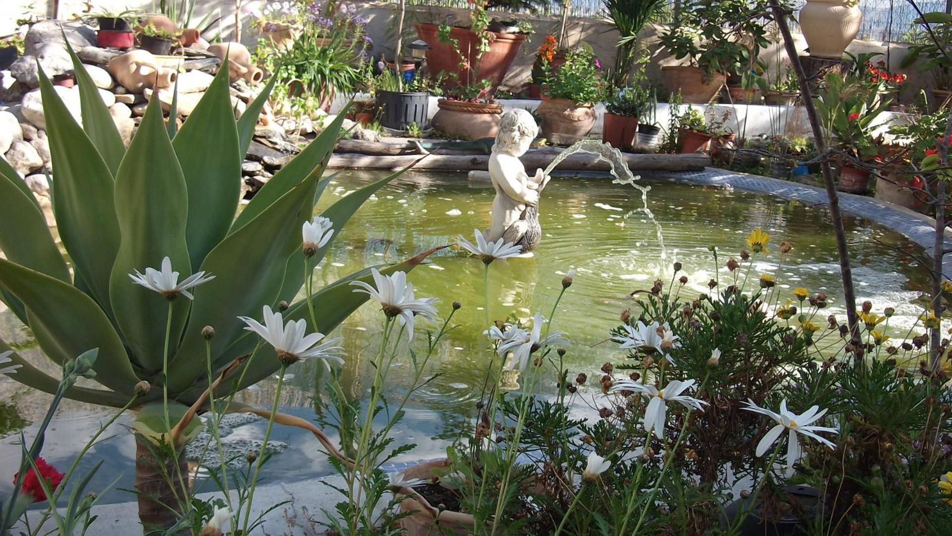Mi Campo Fenazar