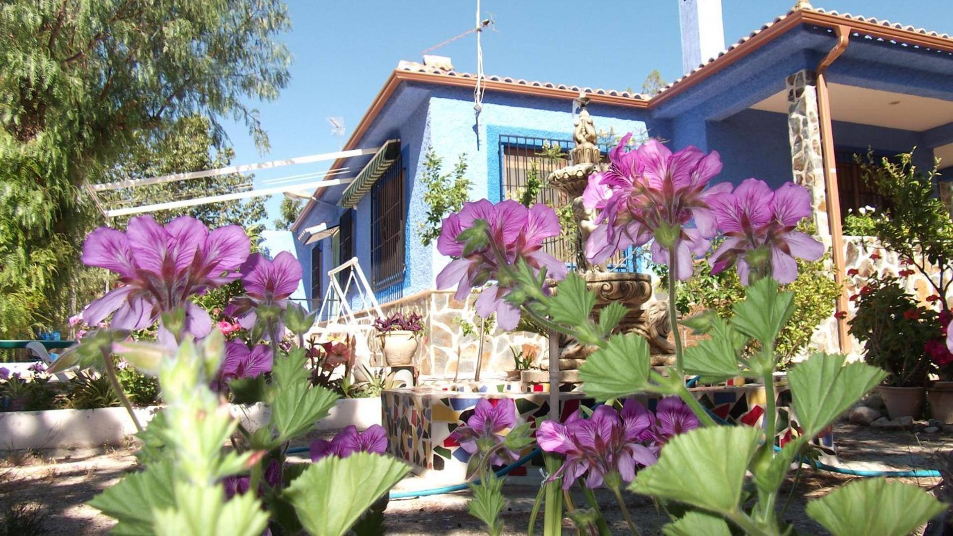 Mi Campo * Fenazar