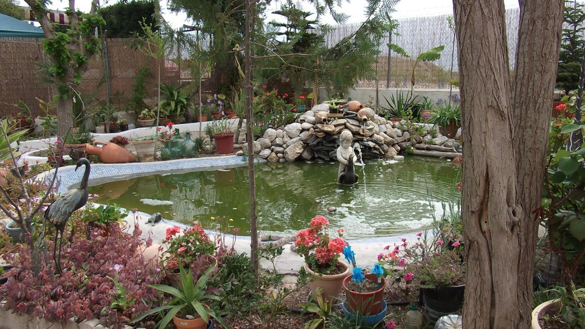 Mi Campo