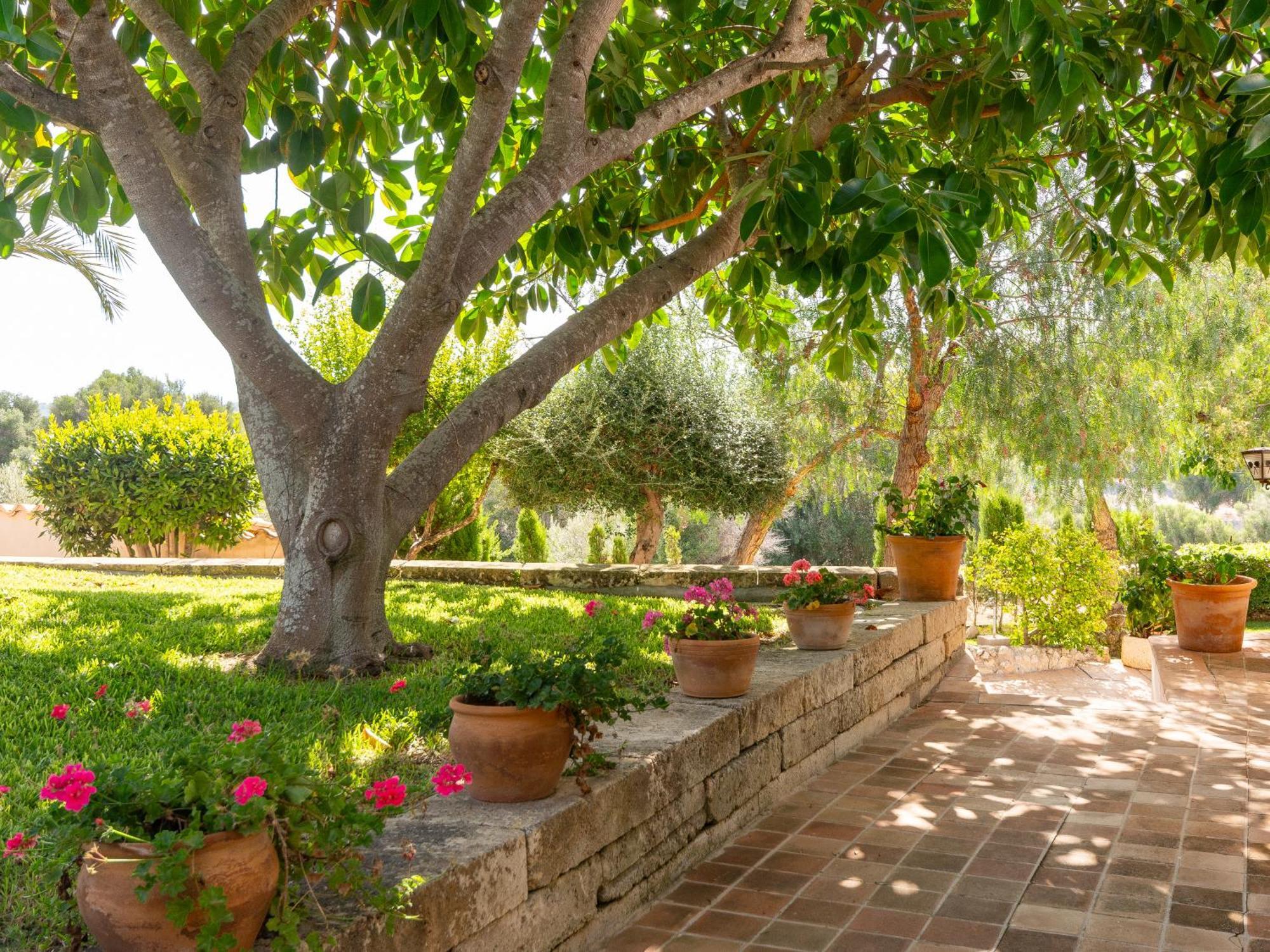 Son Flor Farm stay Santa Margalida