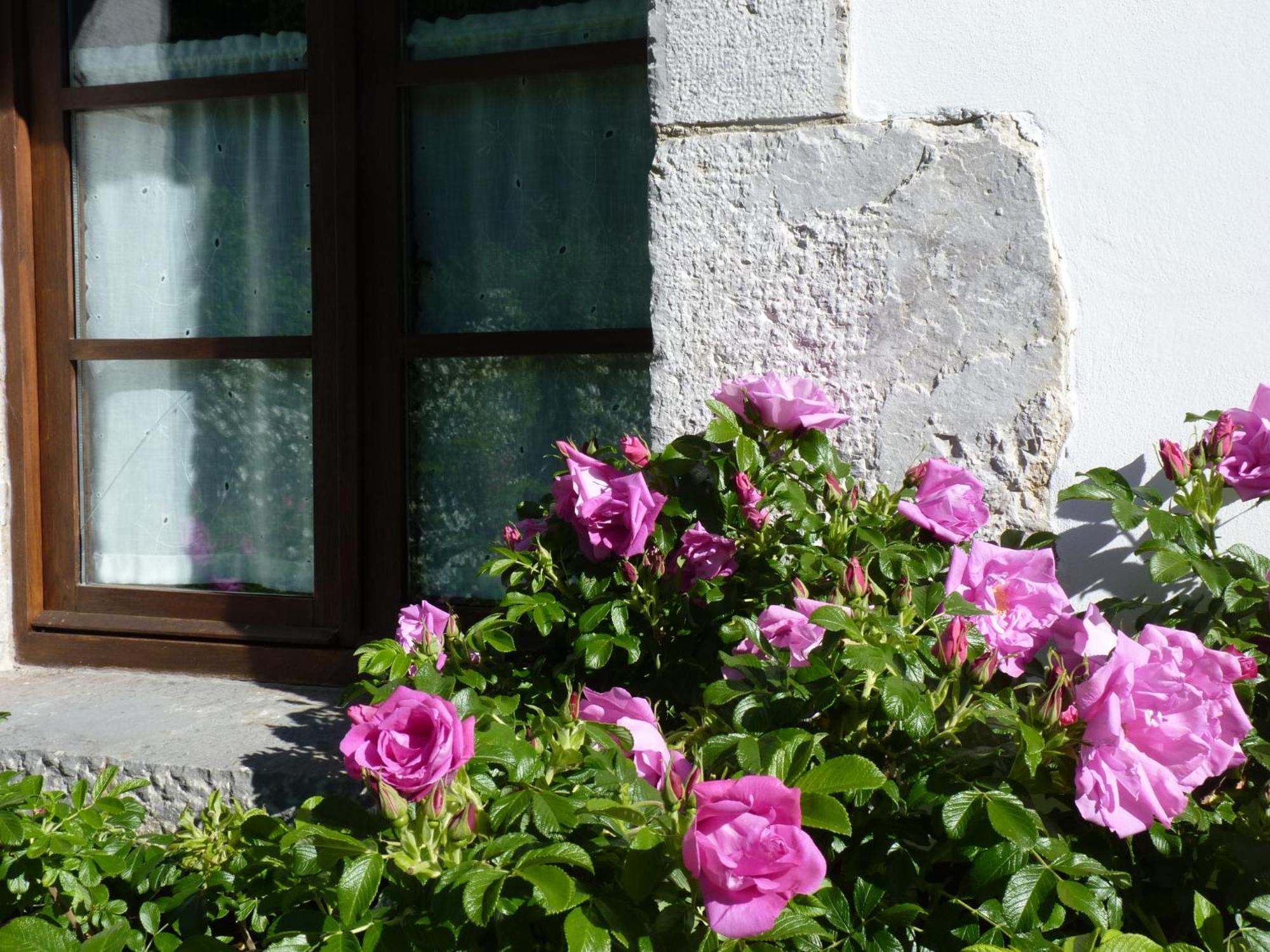 Bed and breakfast Riegos