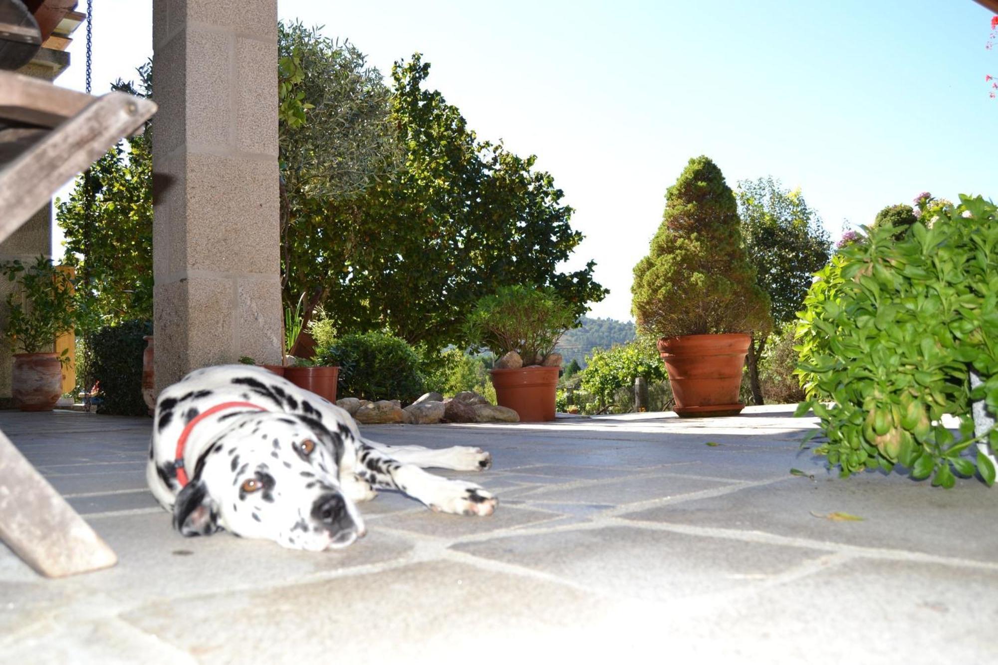 Casa Brues Country house *