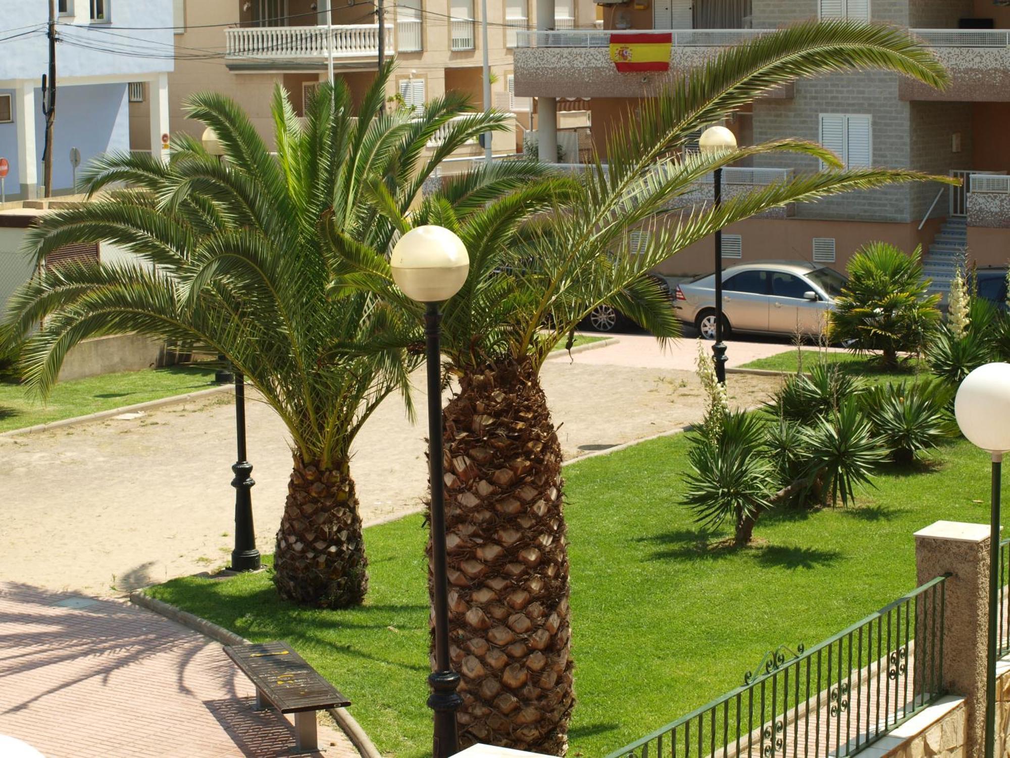 Apartment Satse Moncofa *