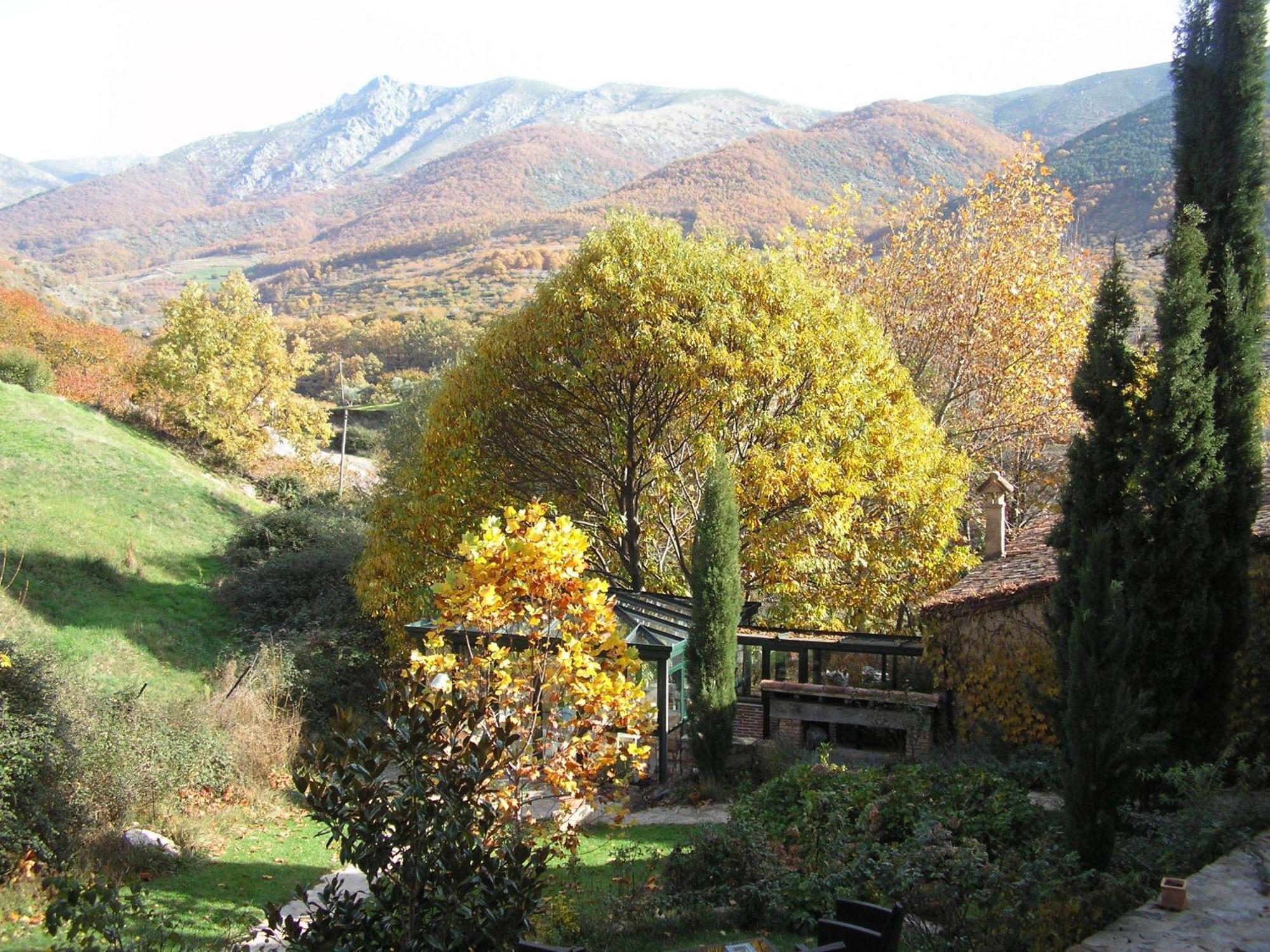 El Carpintero