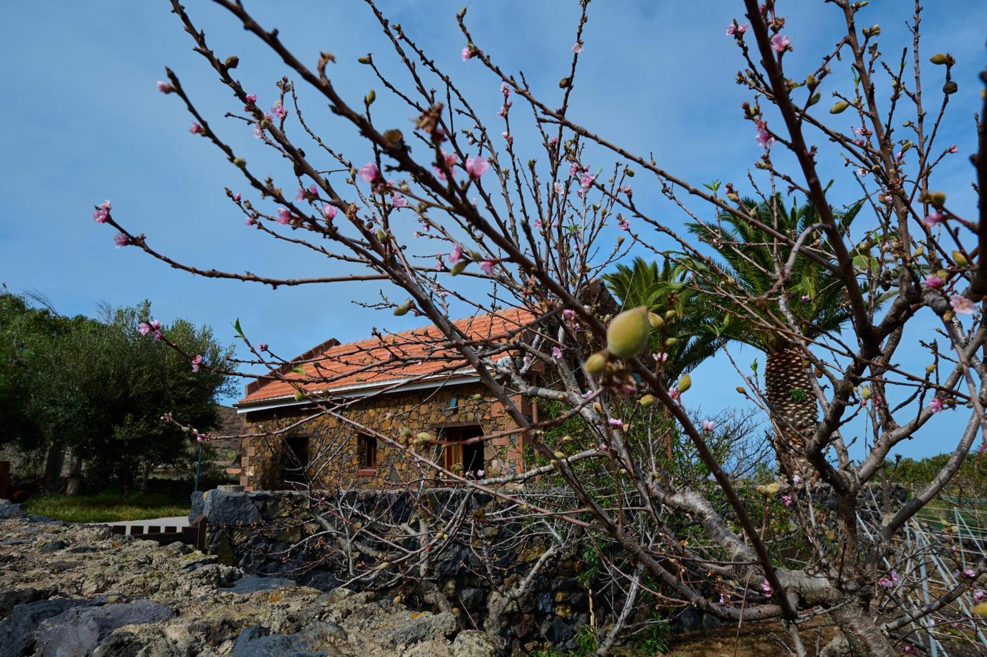 Casa La Casamera Guarazoca