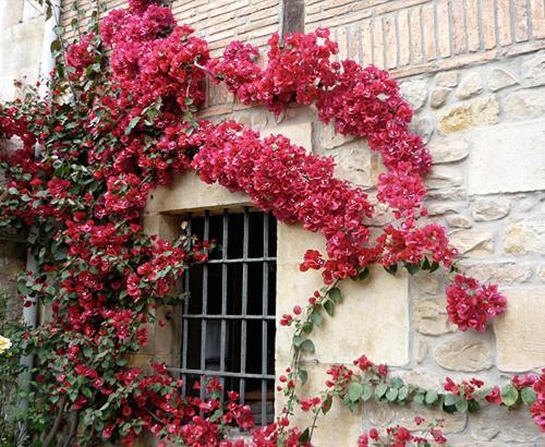 Country house Vallejo *