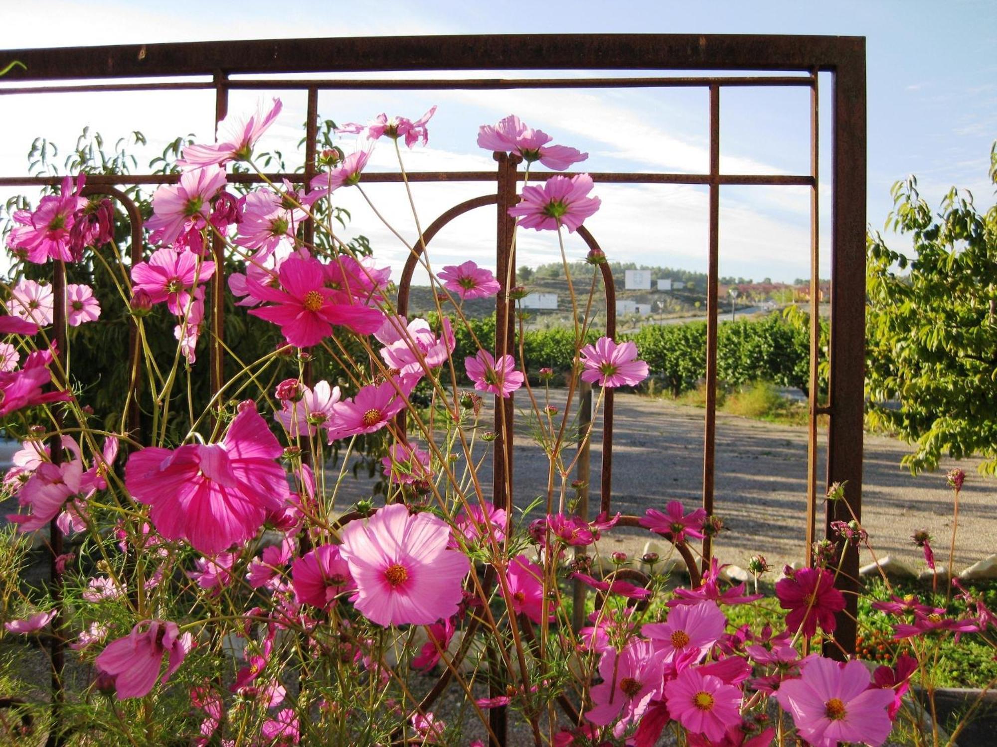 Jardines De Casablanca