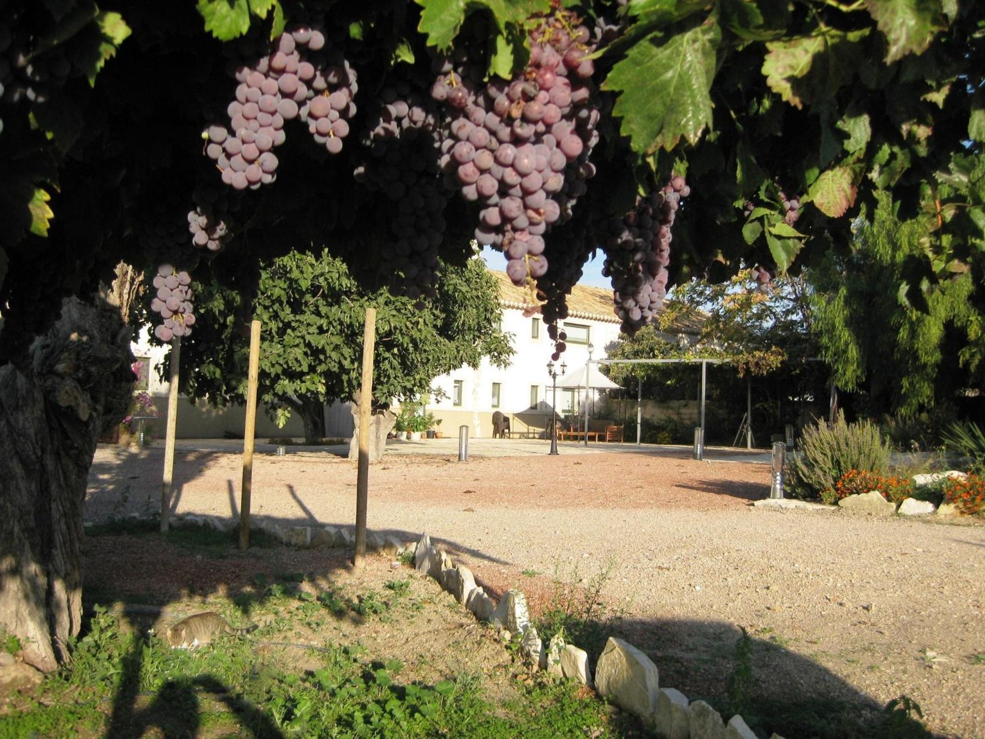 Jardines De Casablanca Pensión Caravaca De La Cruz