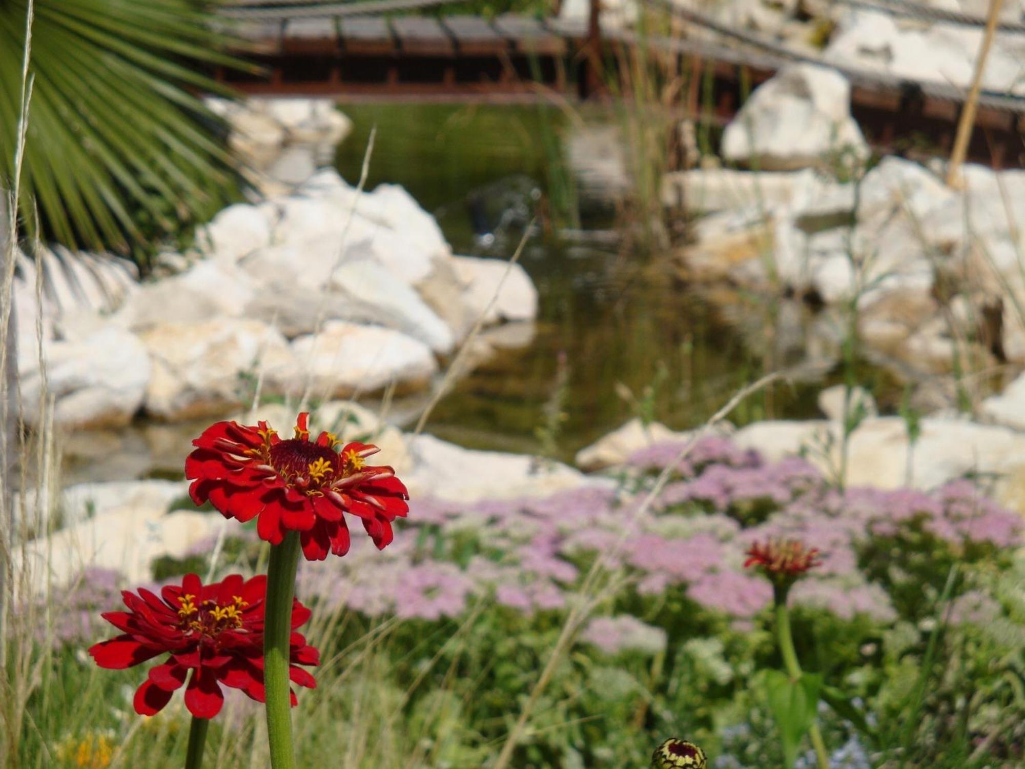 Pensión Jardines De Casablanca